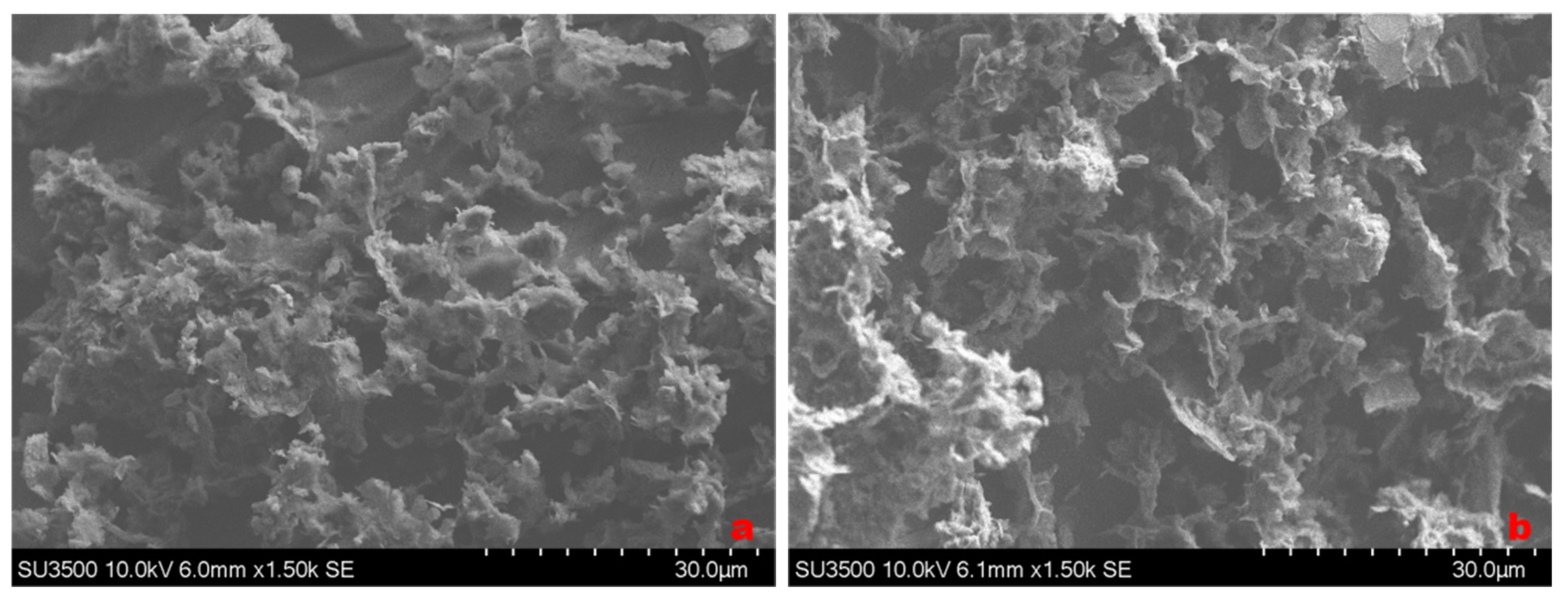 Minerals 15 00187 g015