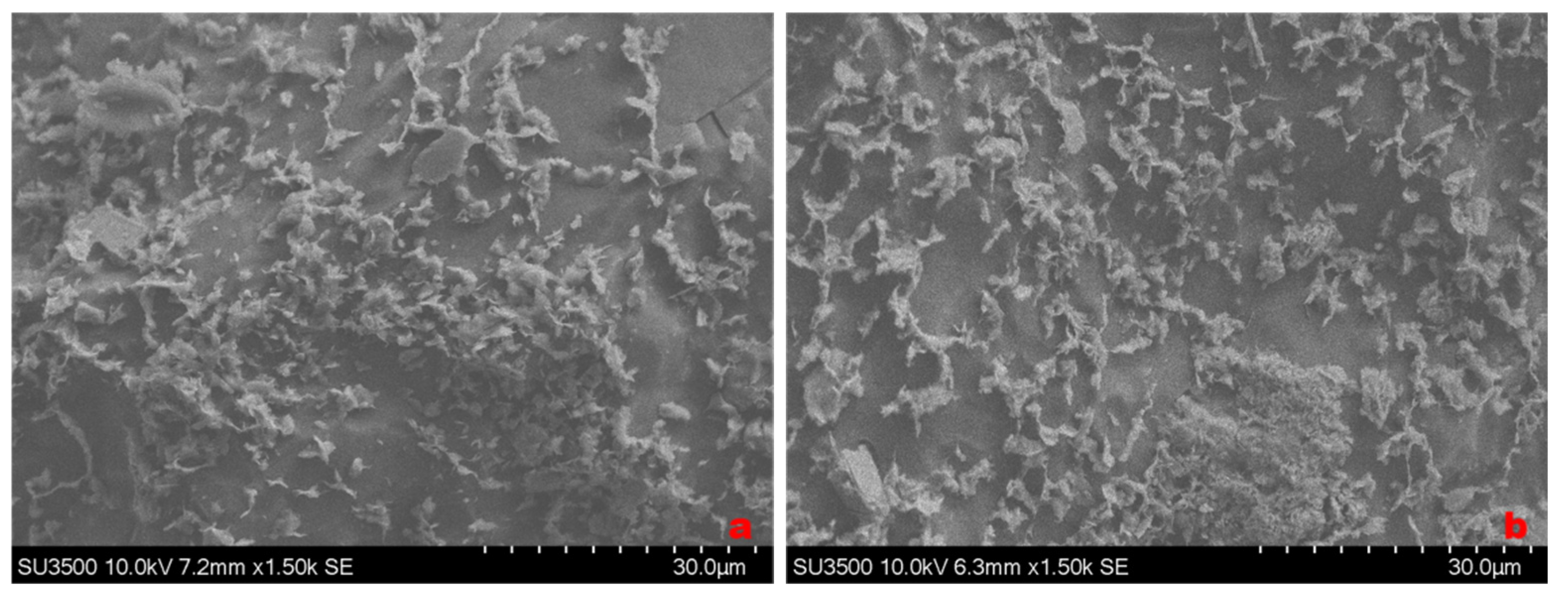 Minerals 15 00187 g016