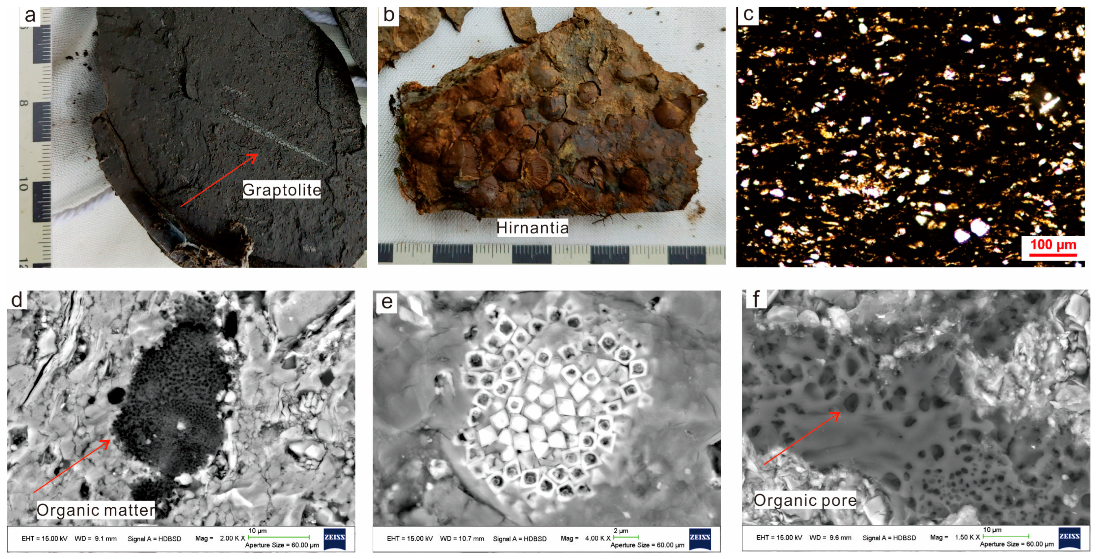 Minerals 15 00191 g002