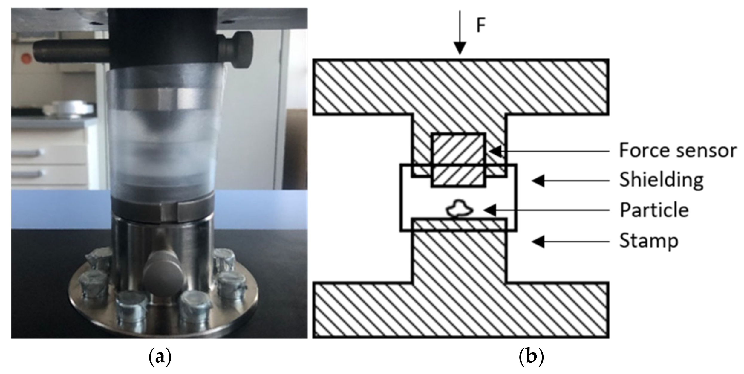 Minerals 15 00195 g006
