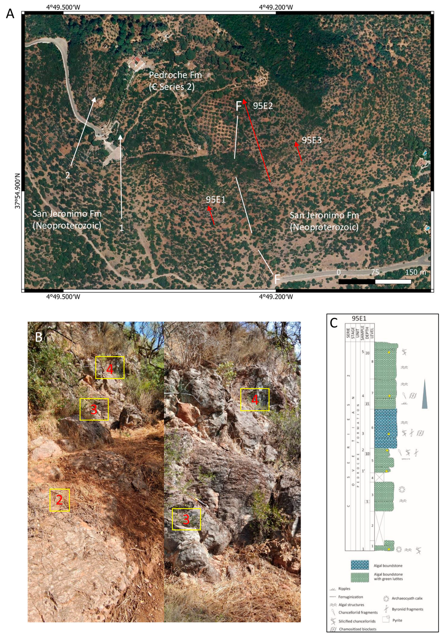 Minerals 15 00203 g002