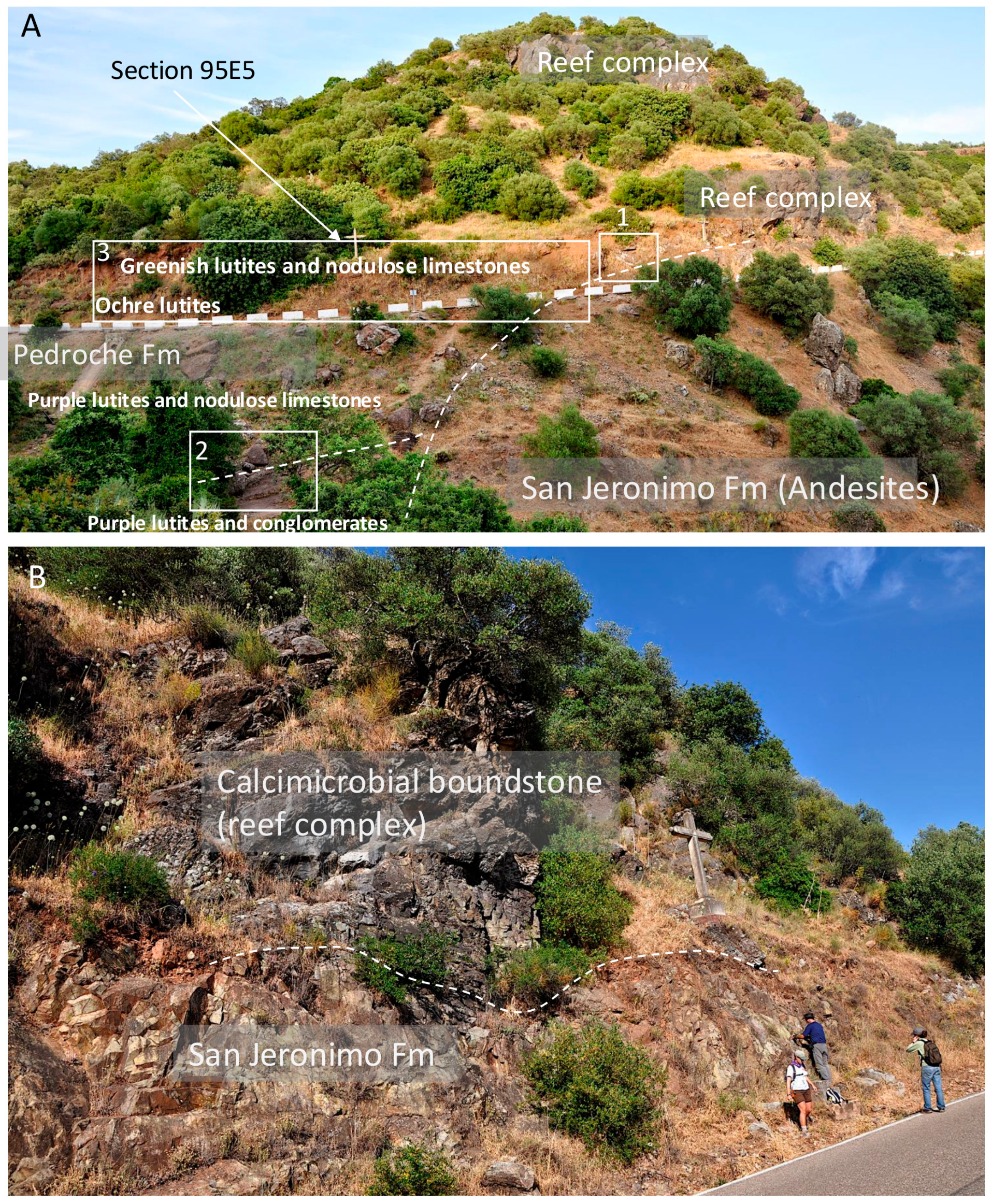 Minerals 15 00203 g004