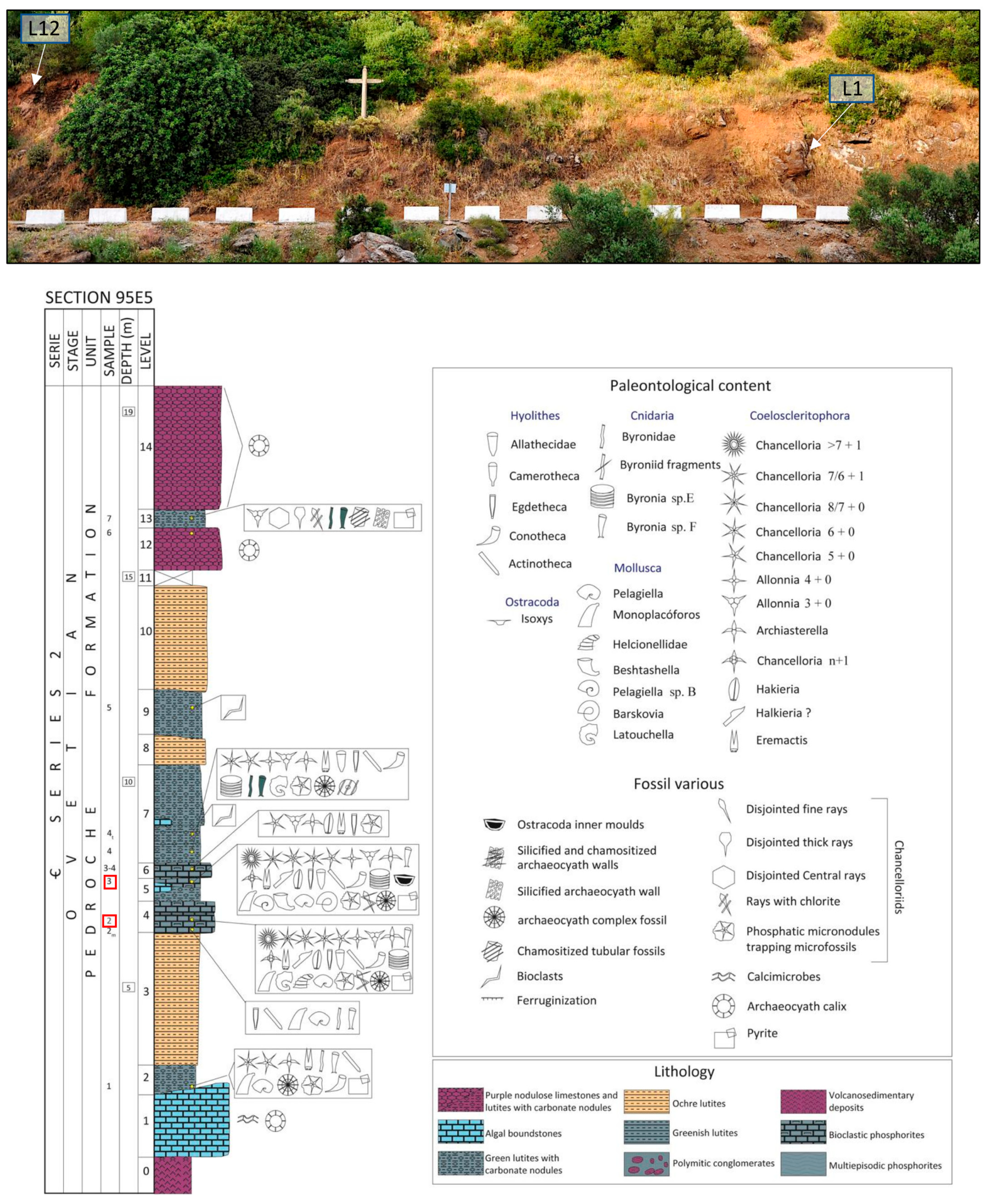 Minerals 15 00203 g007