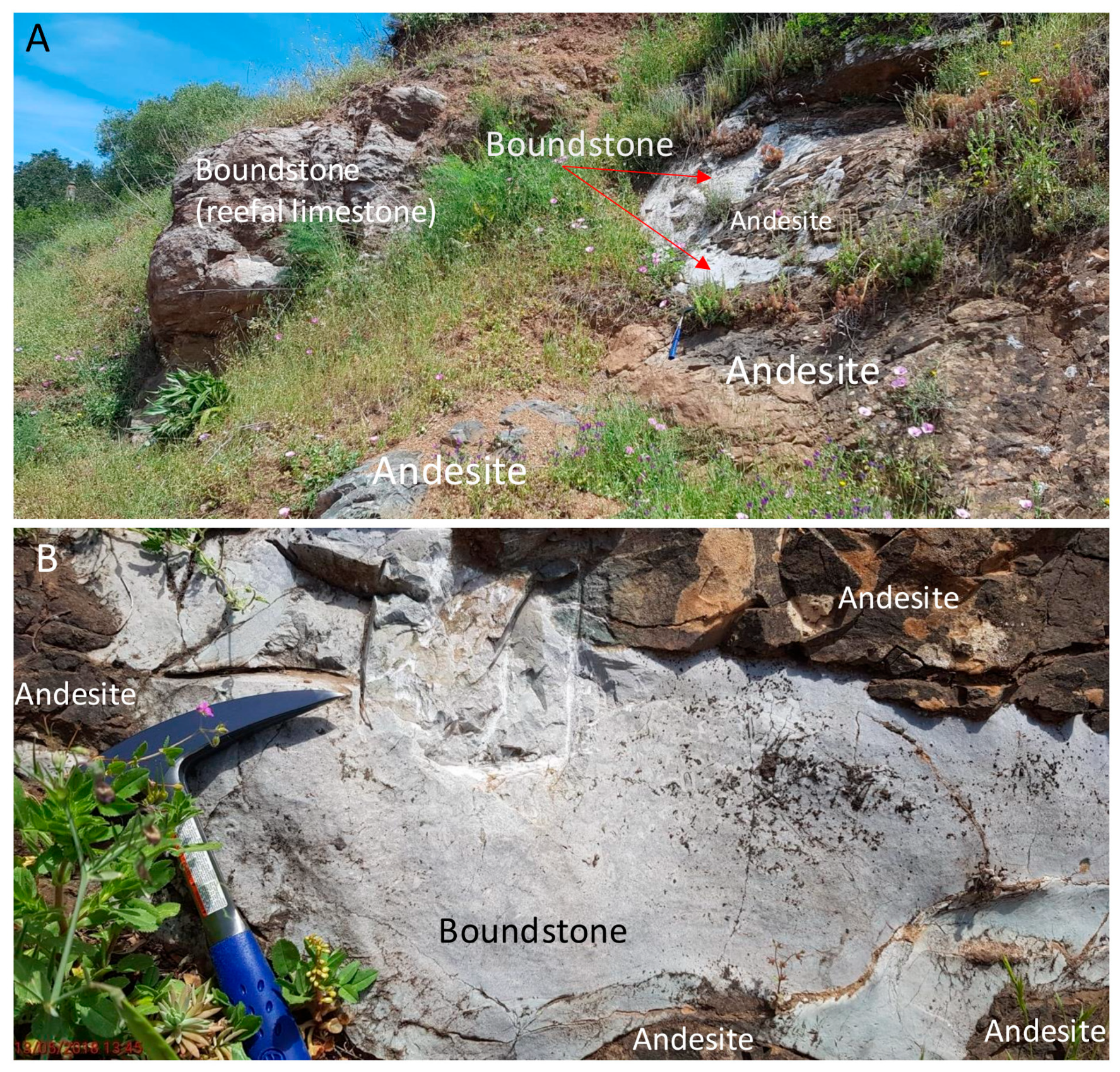 Minerals 15 00203 g008