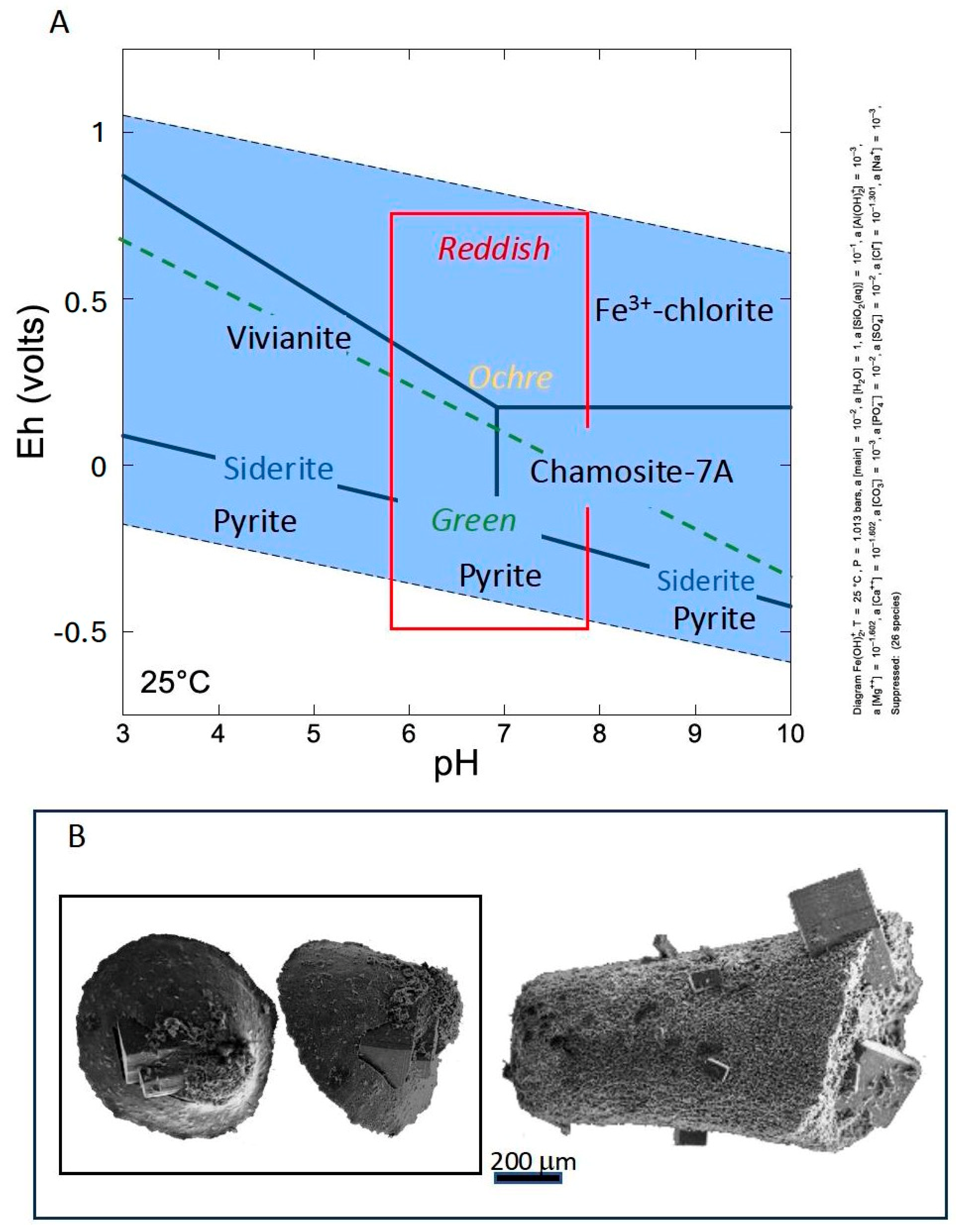 Minerals 15 00203 g009