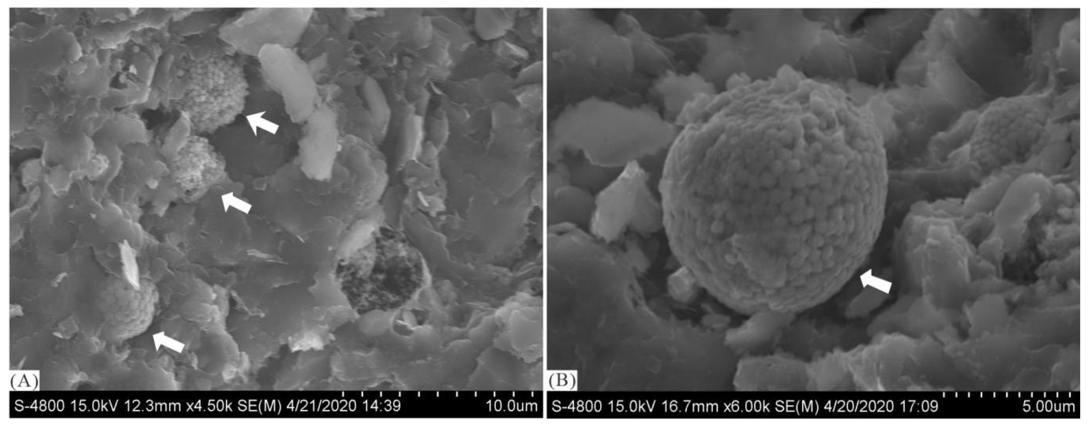 Minerals 15 00204 g004