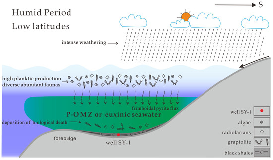 Sedimentary Environment and Organic Matter Enrichment Mechanism of