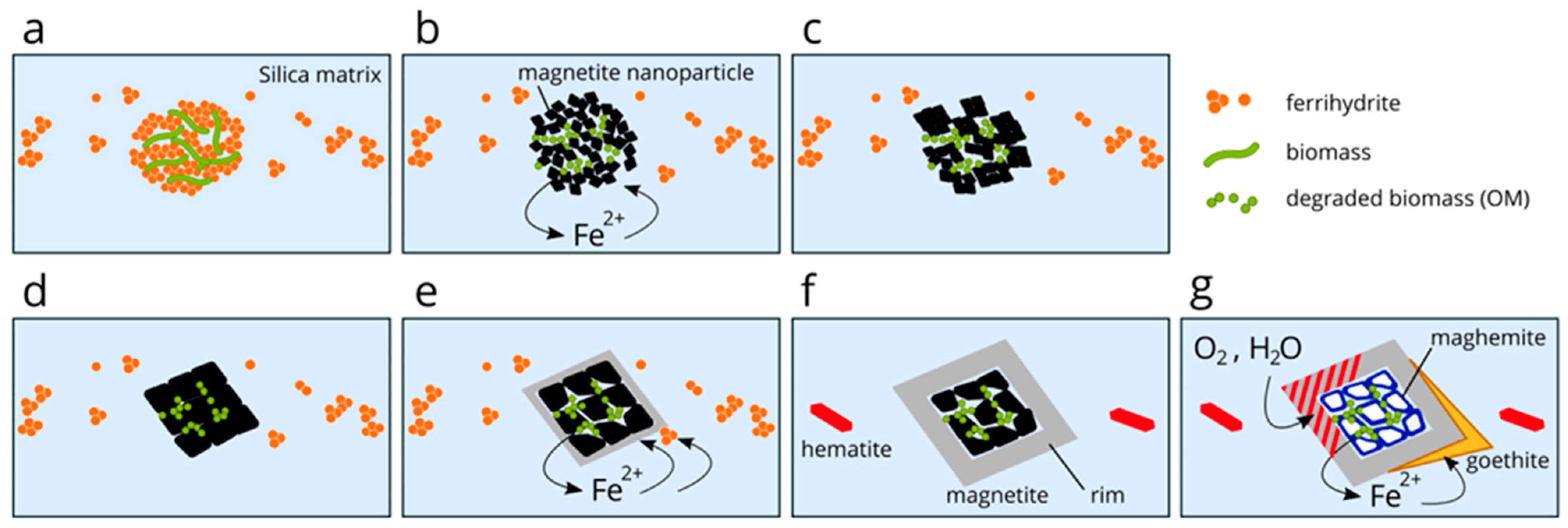 Minerals 15 00218 g007