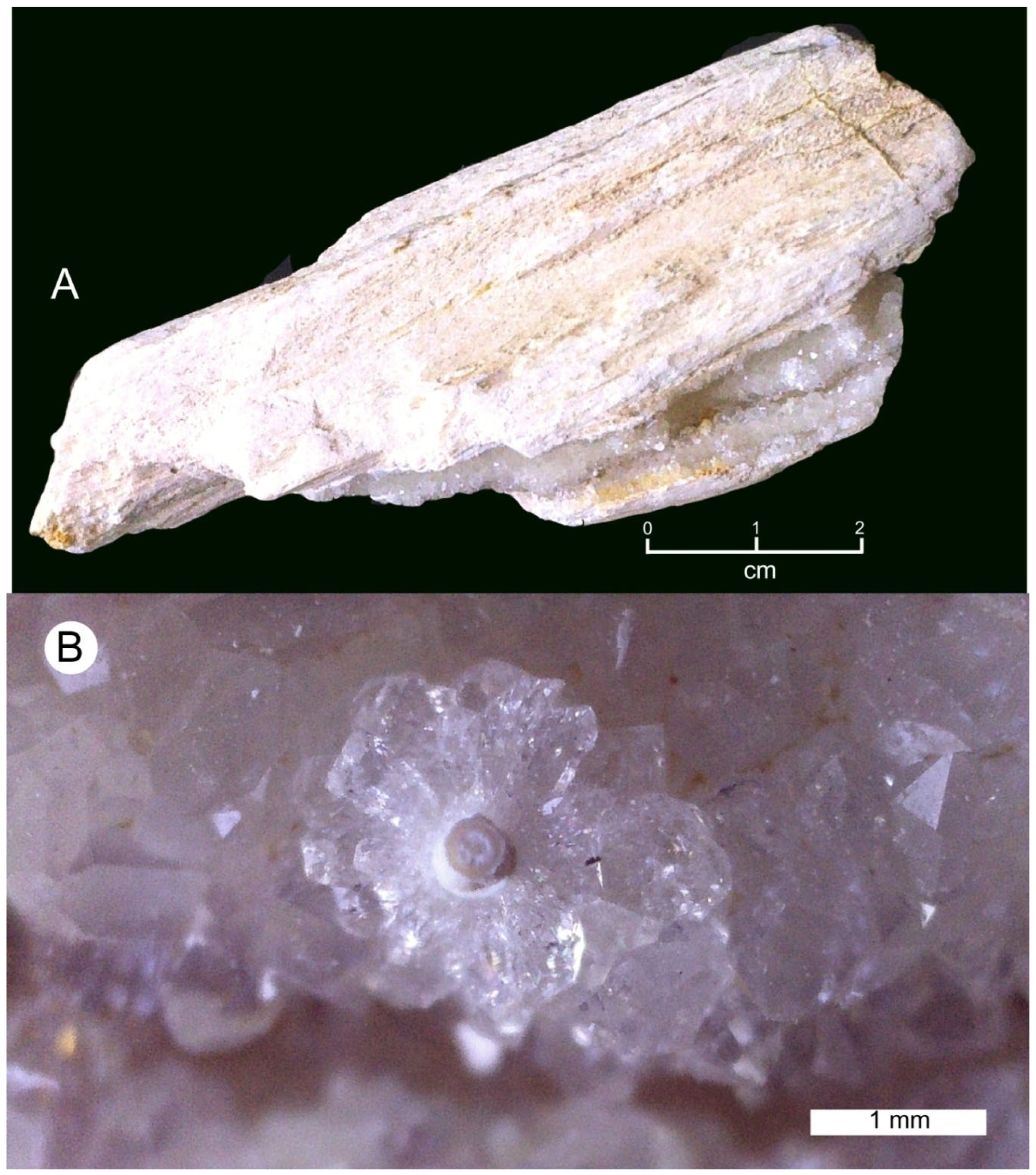 Minerals 15 00225 g002