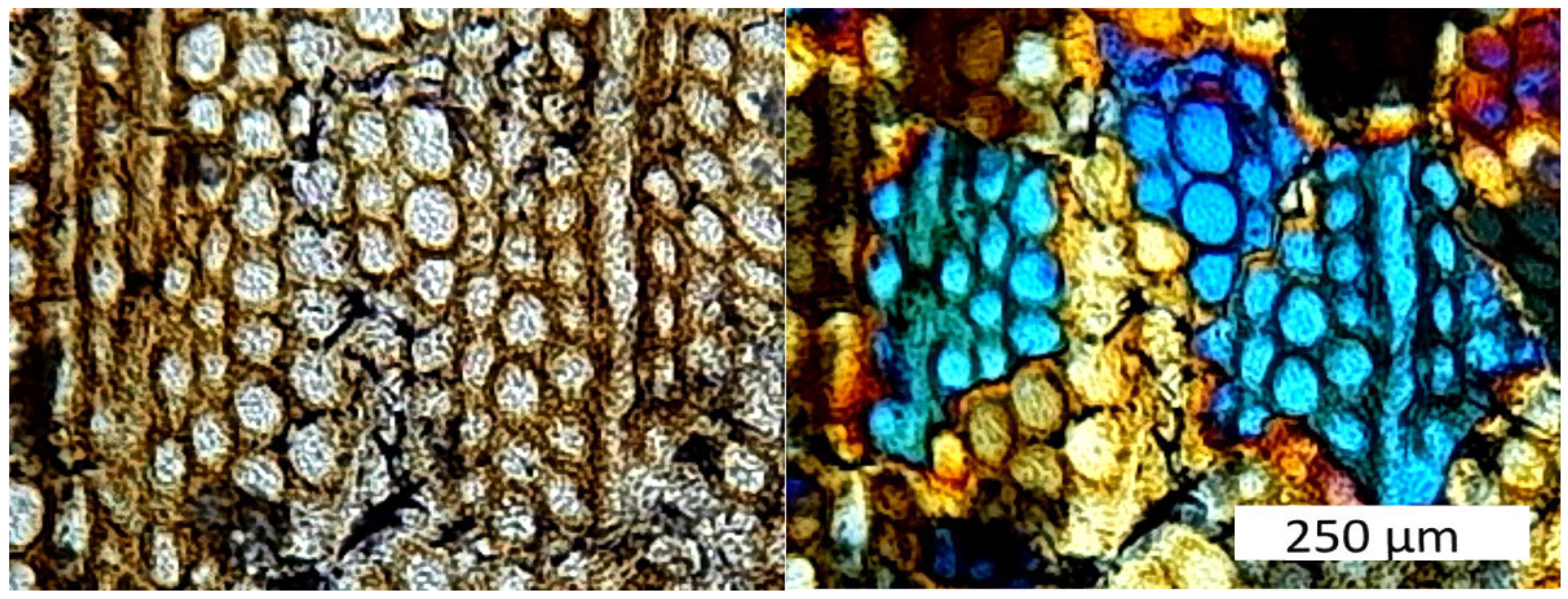 Minerals 15 00225 g005