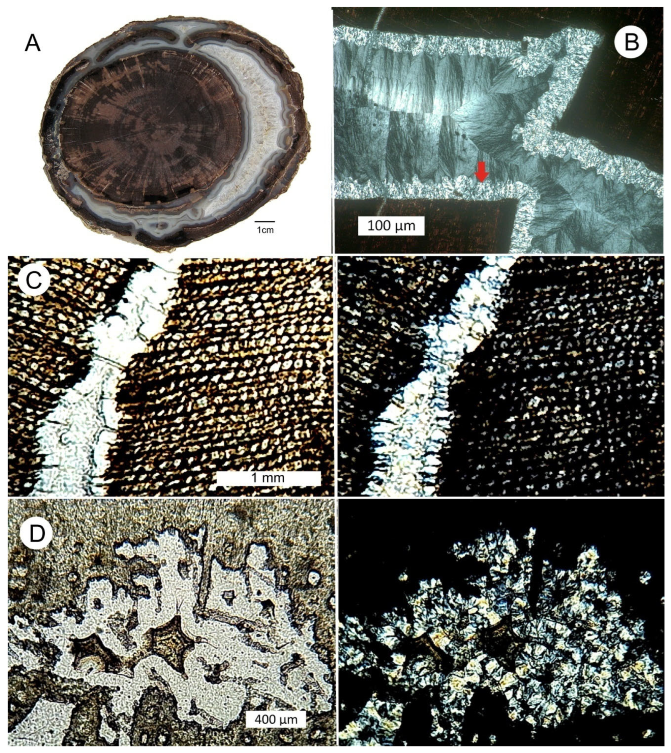 Minerals 15 00225 g008