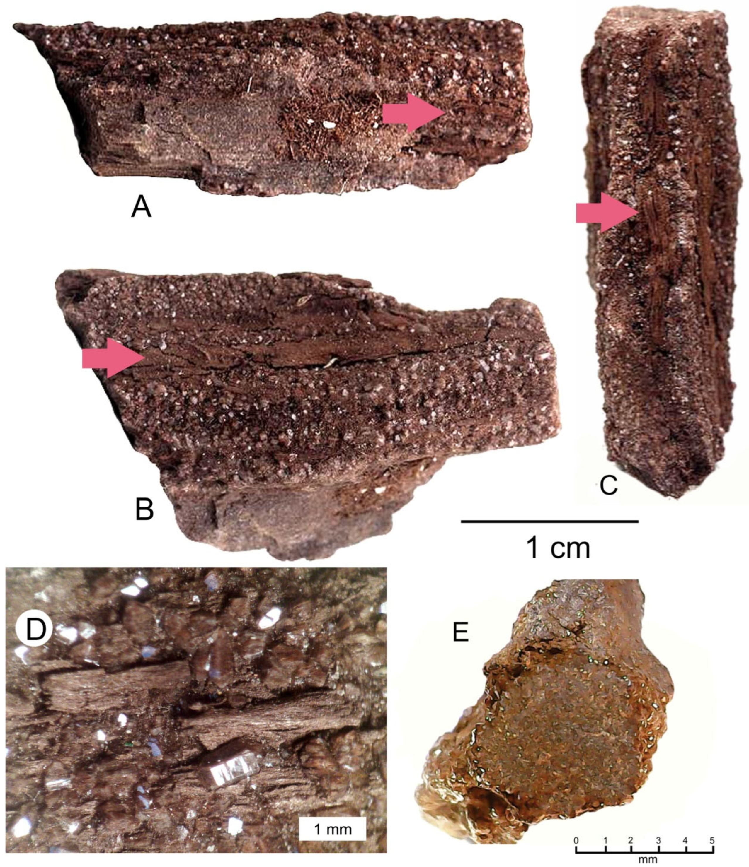 Minerals 15 00225 g010