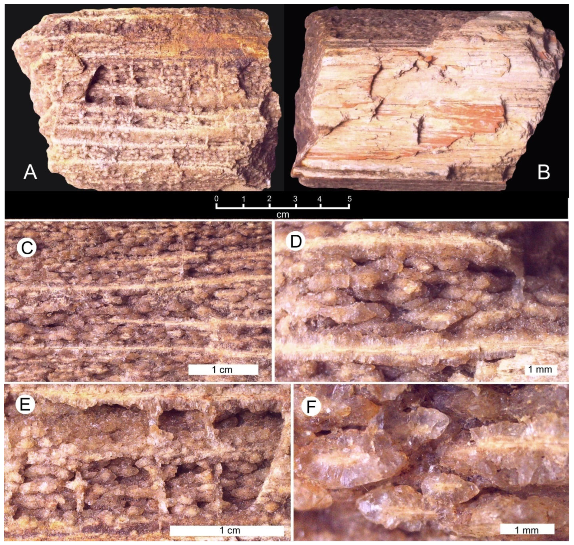 Minerals 15 00225 g012