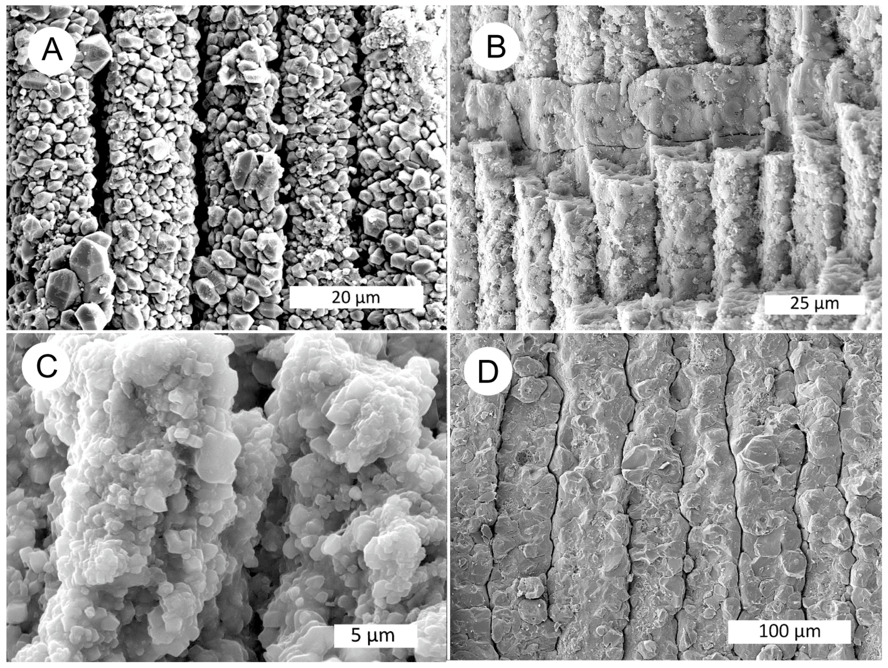 Minerals 15 00225 g014