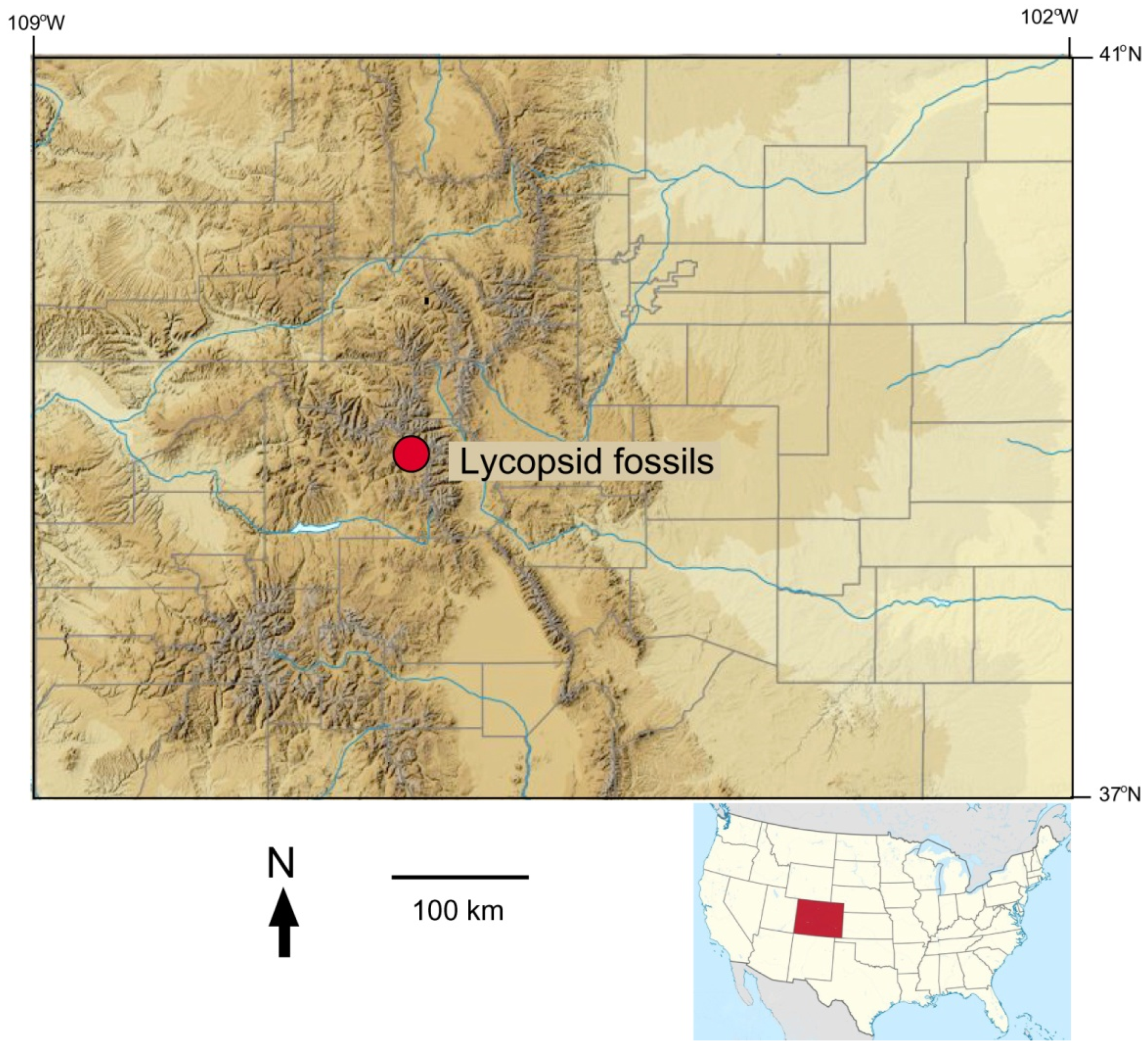 Minerals 15 00225 g016