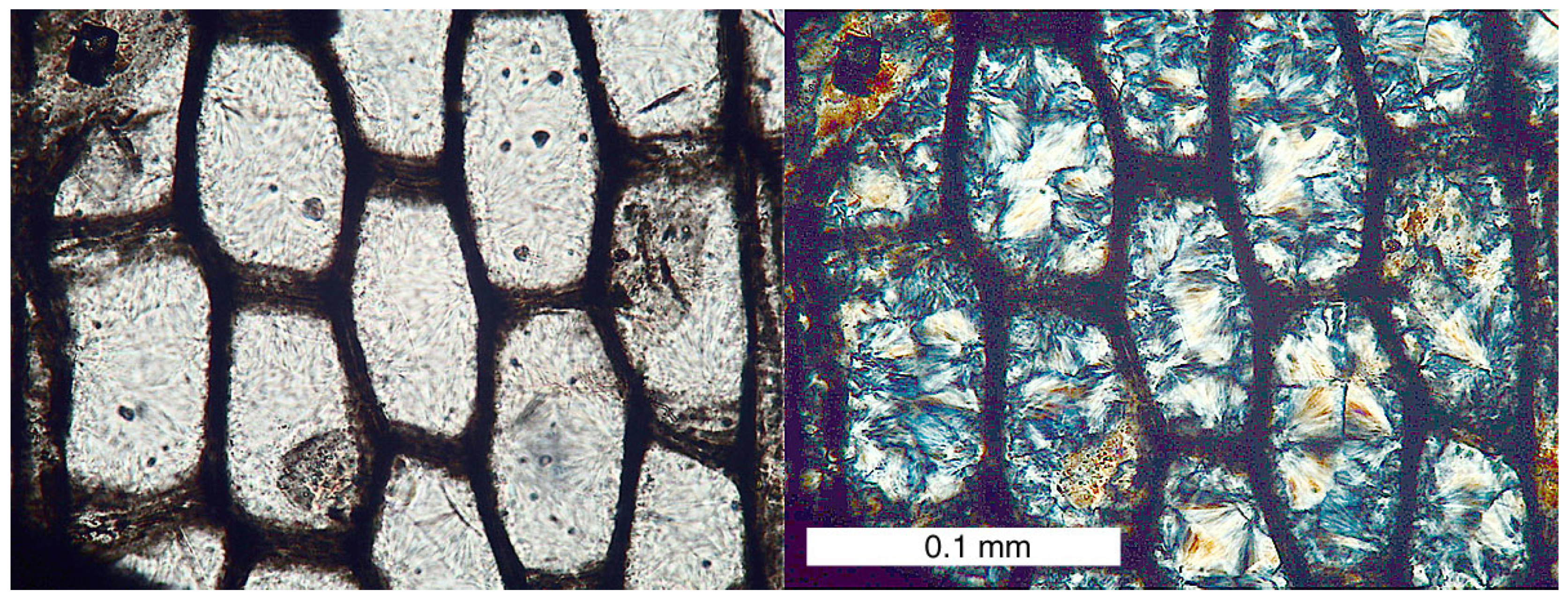 Minerals 15 00225 g018