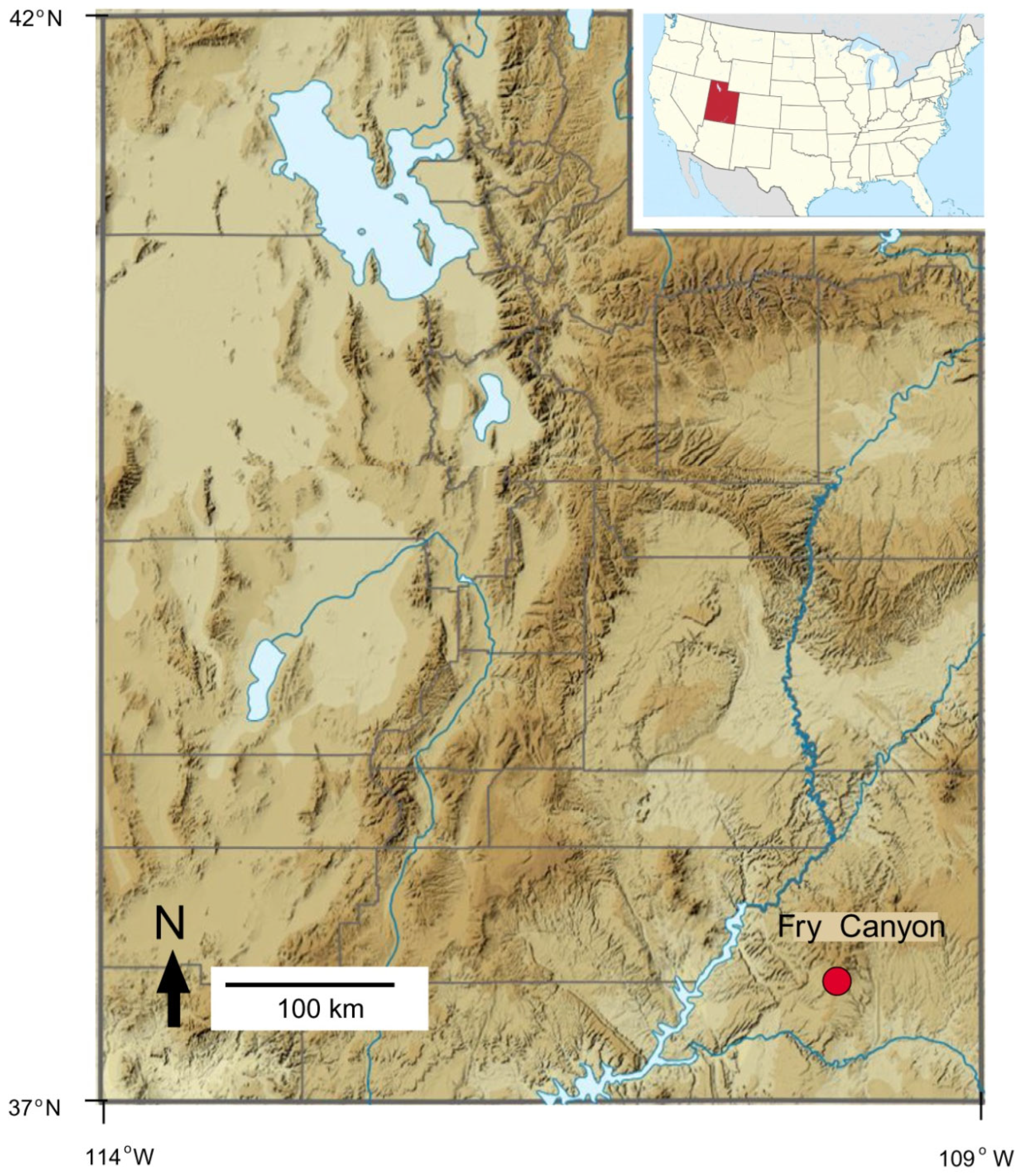 Minerals 15 00225 g020