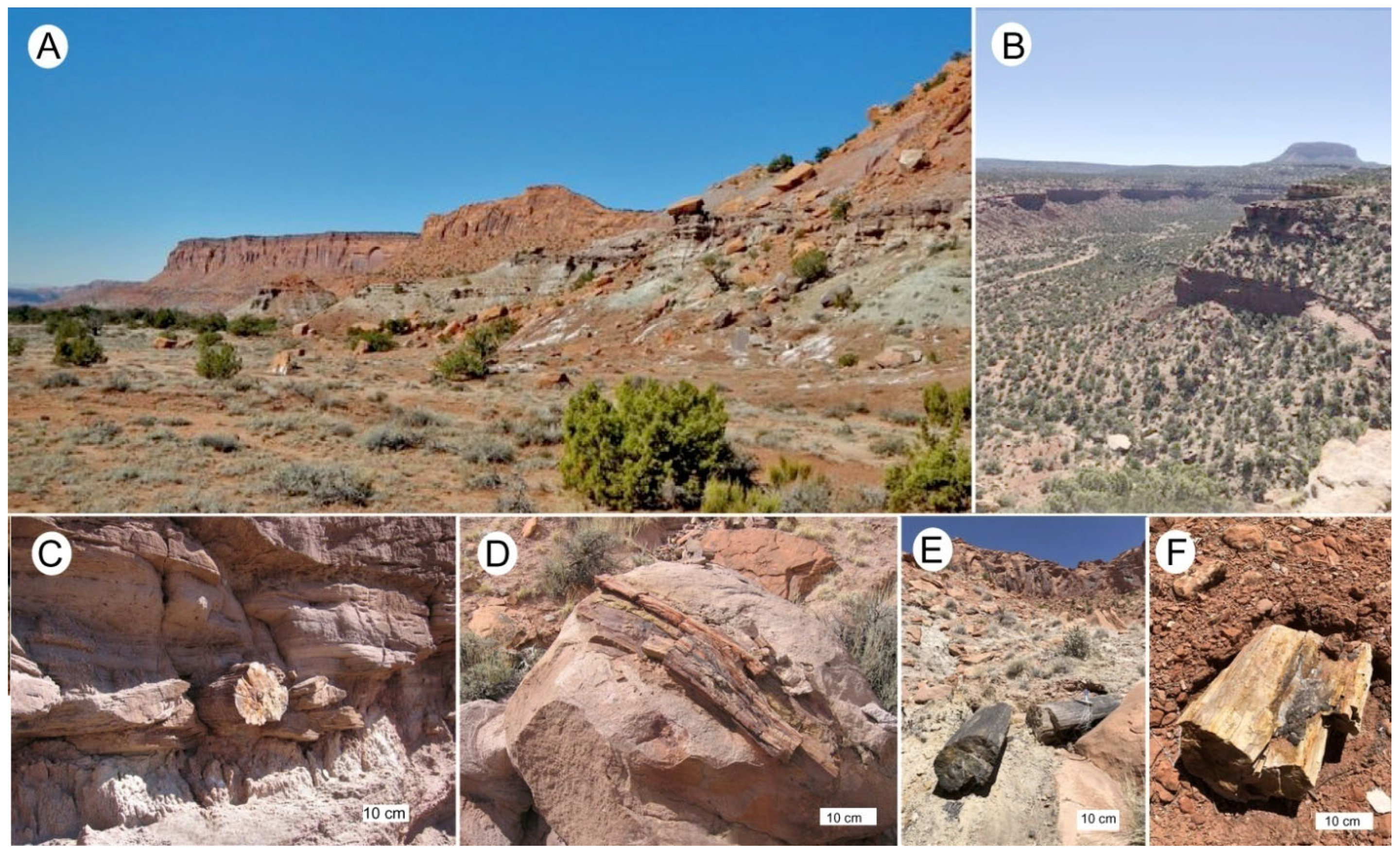 Minerals 15 00225 g021