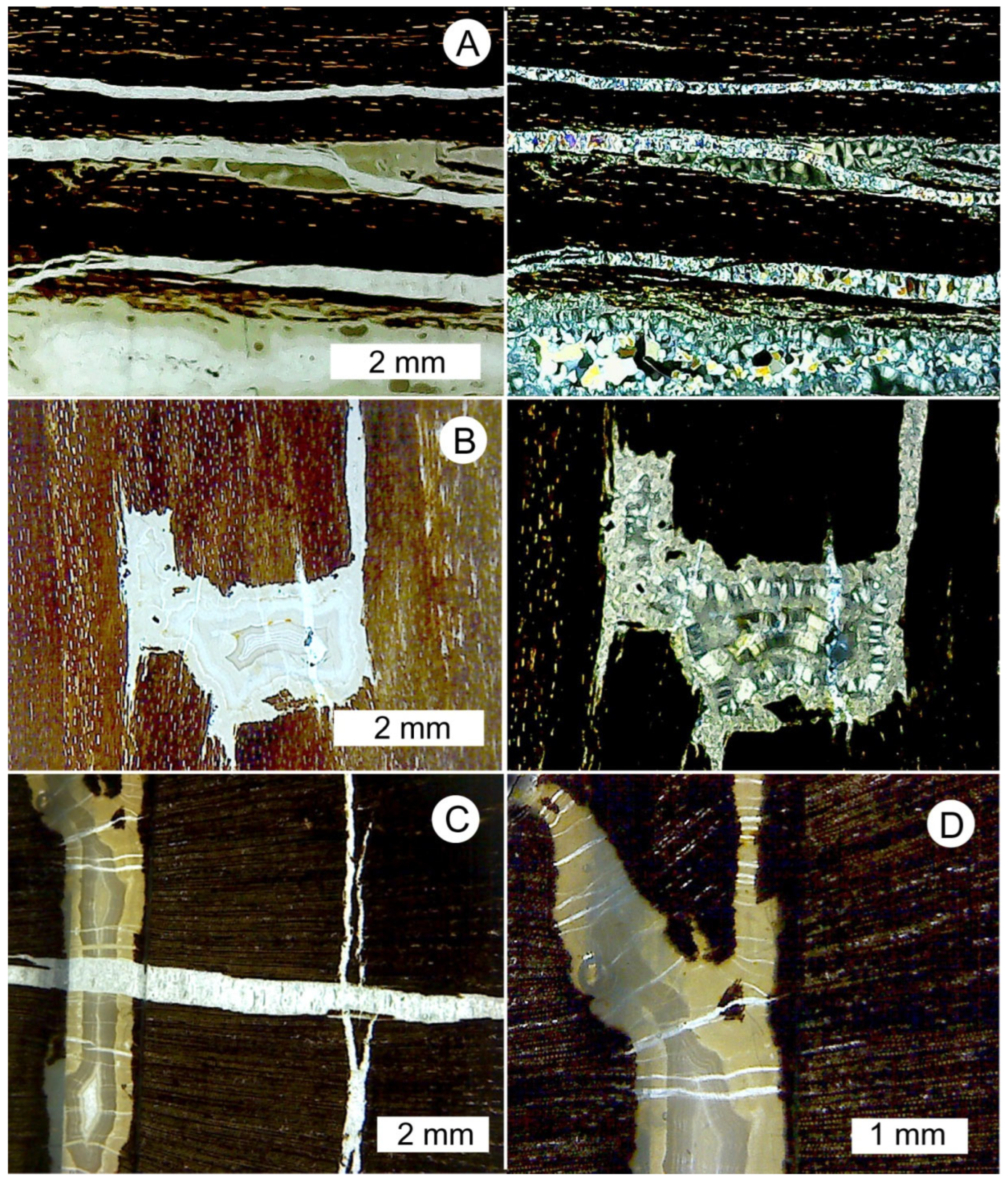 Minerals 15 00225 g025