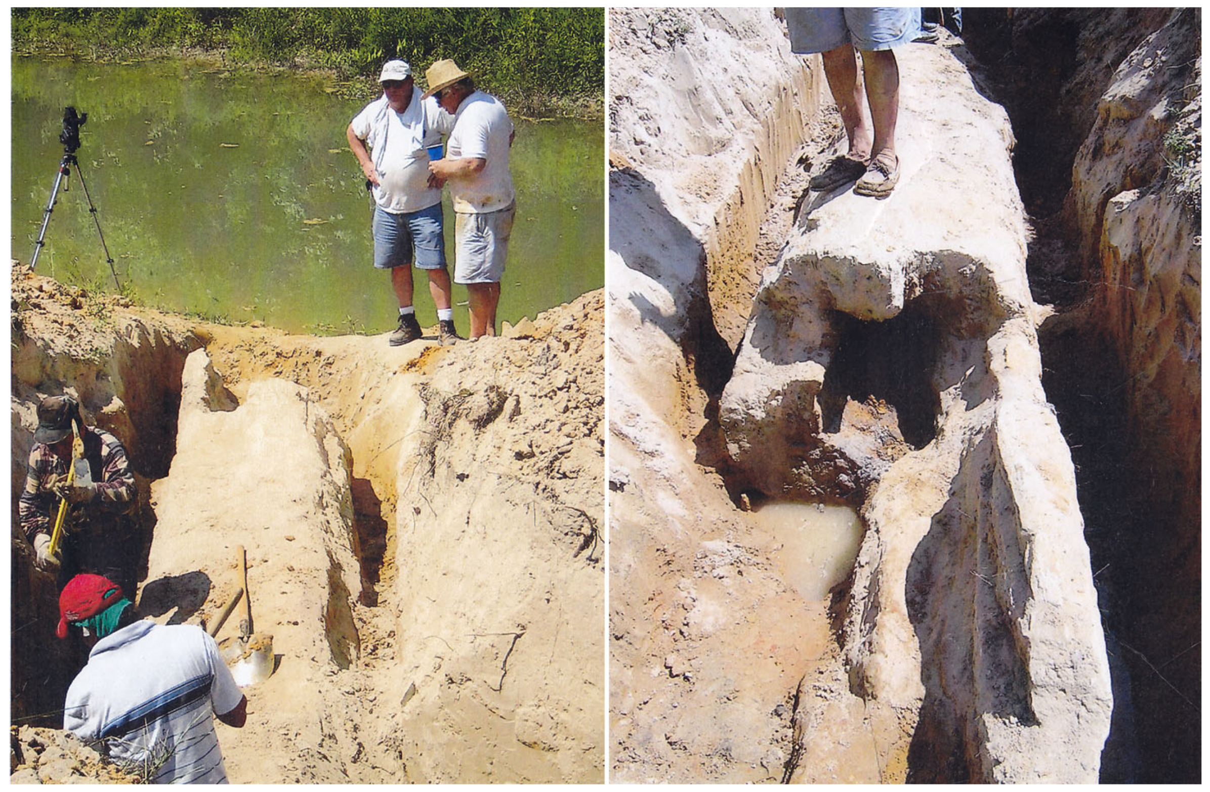 Minerals 15 00225 g027