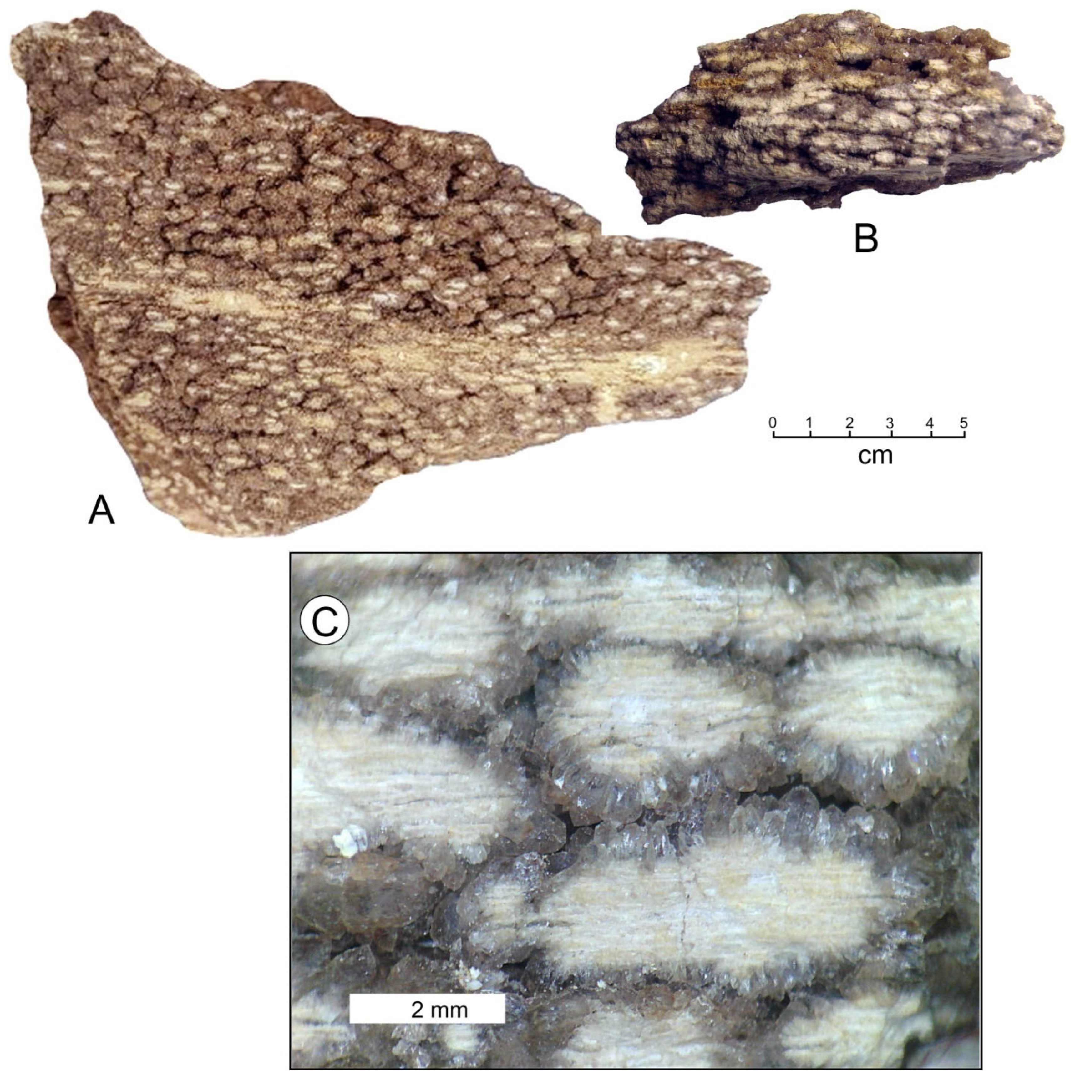 Minerals 15 00225 g030