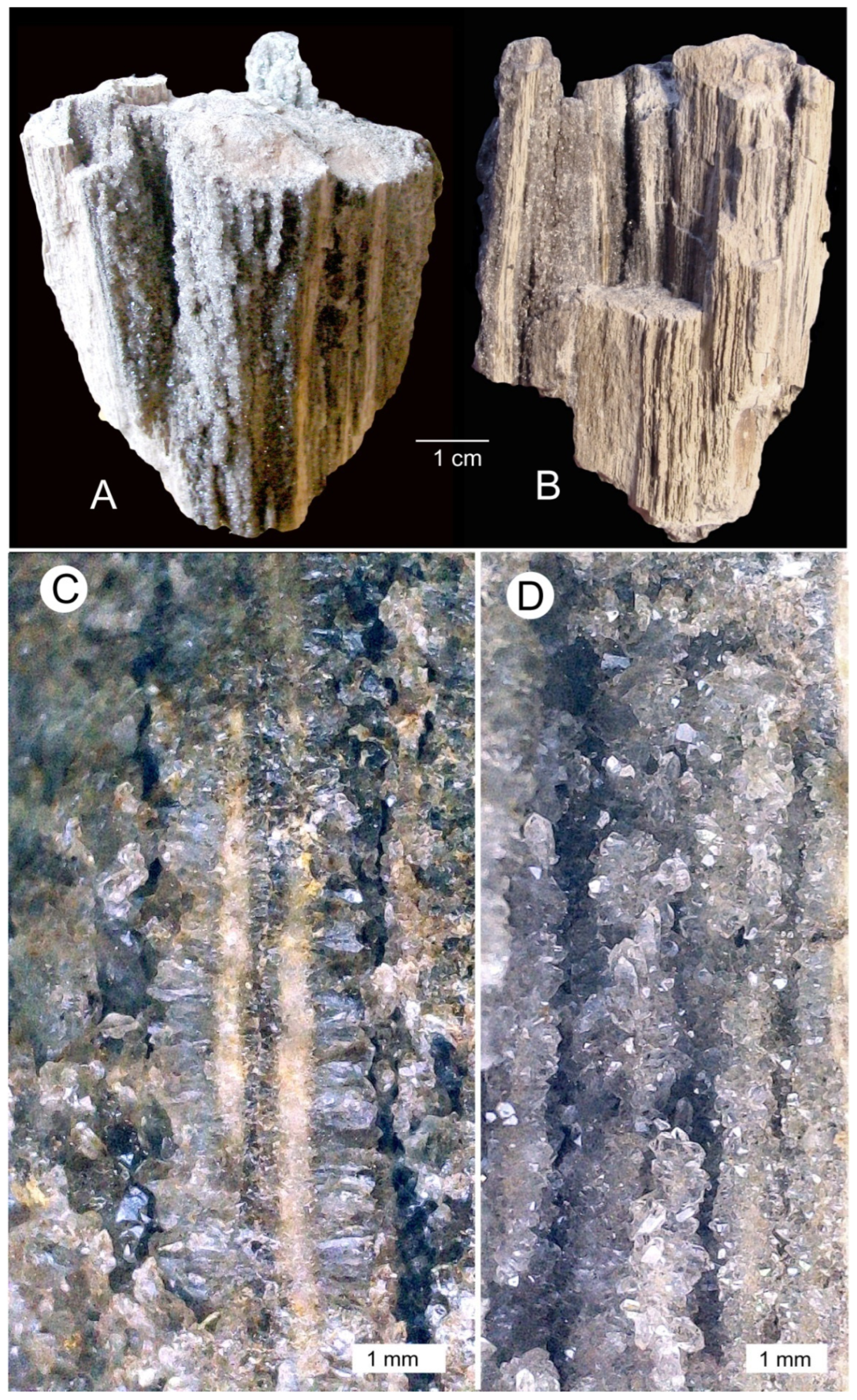 Minerals 15 00225 g032
