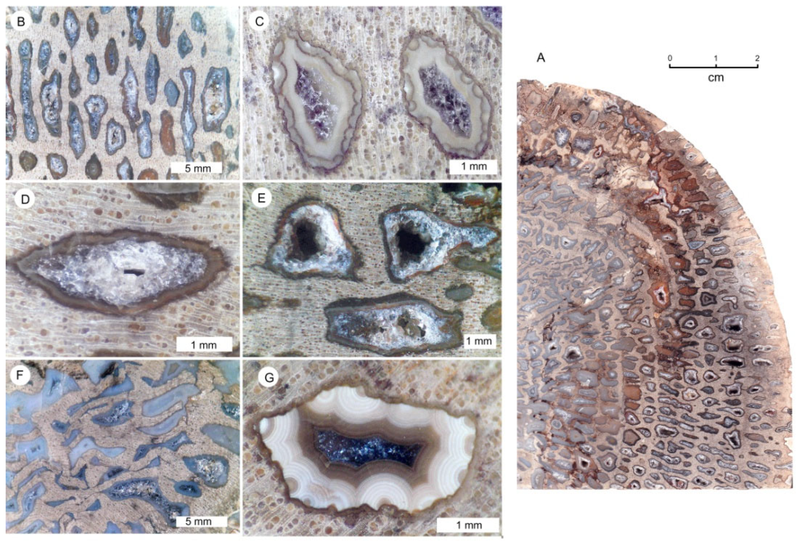 Minerals 15 00225 g034