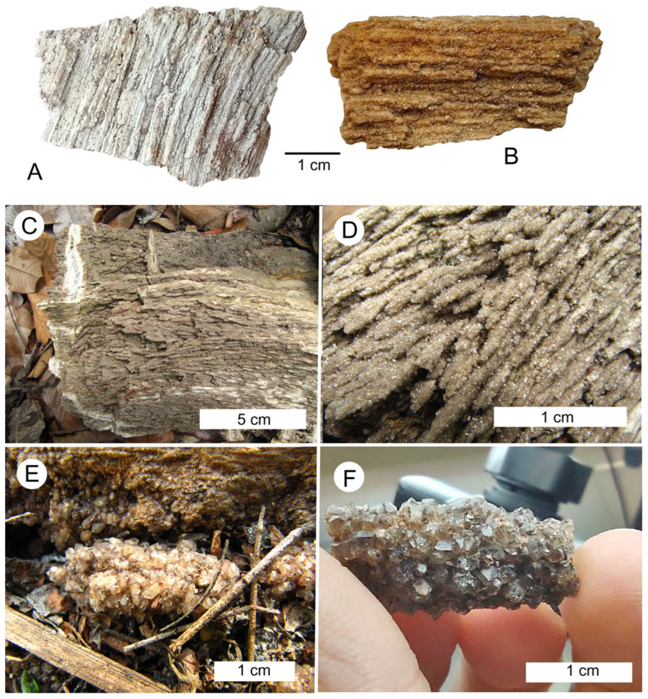 Minerals 15 00225 g037