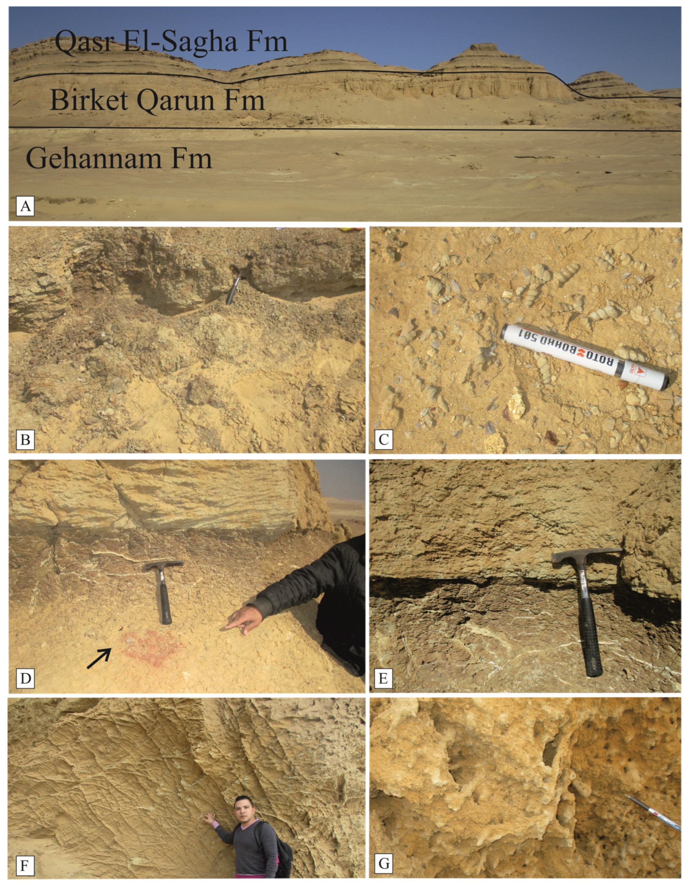 Minerals 15 00227 g003
