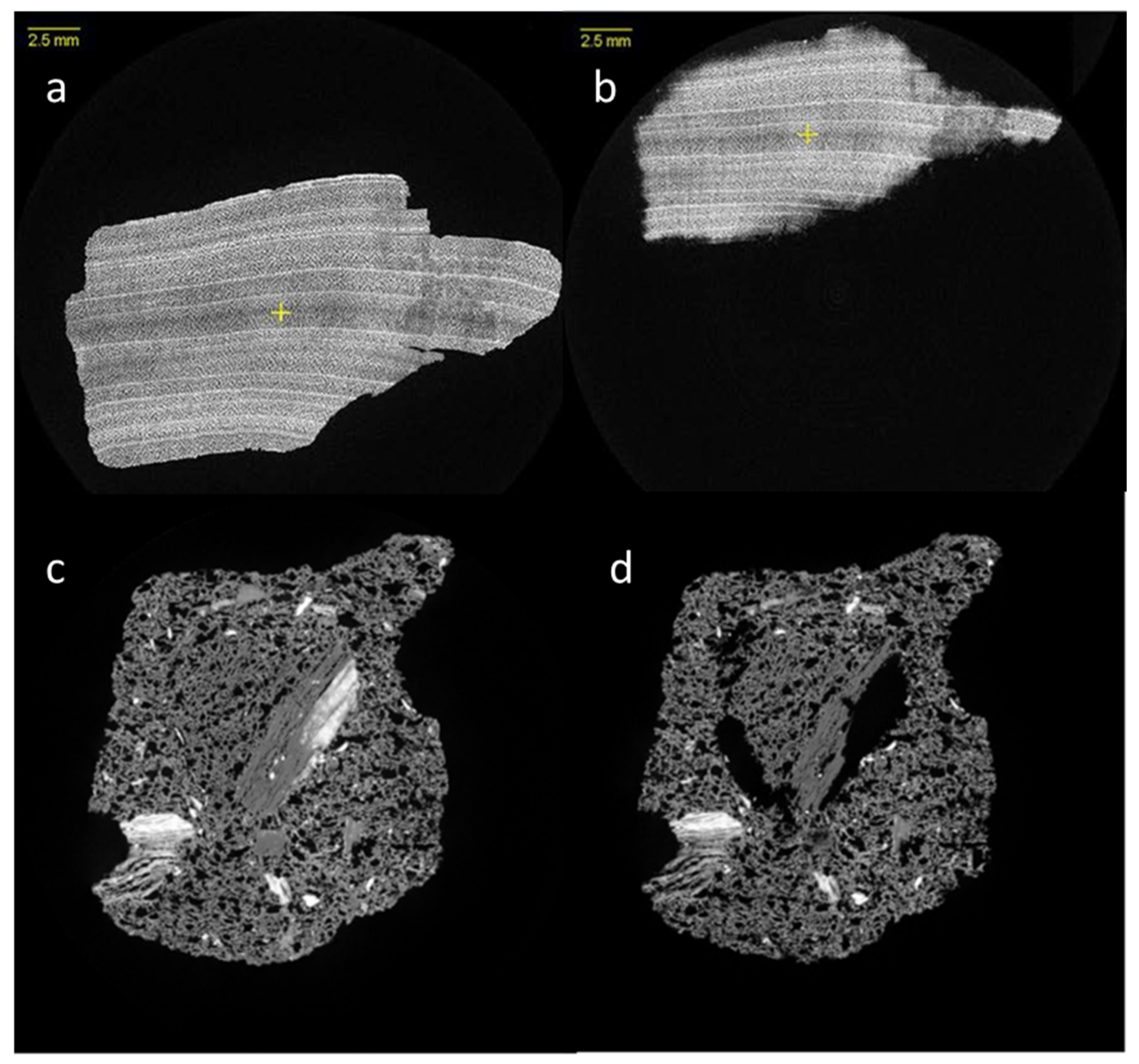 Minerals 15 00228 g011