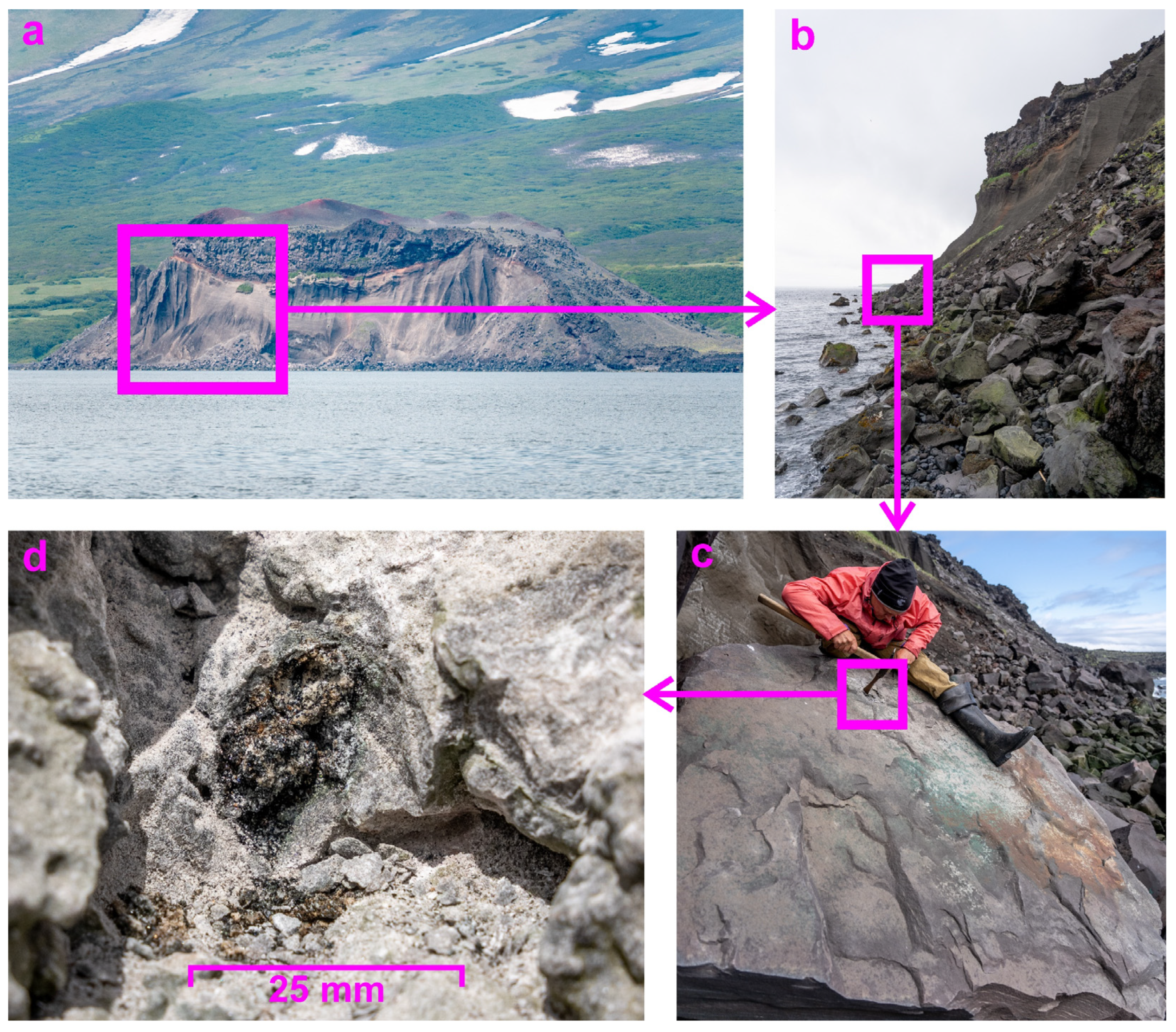 Minerals 15 00237 g003