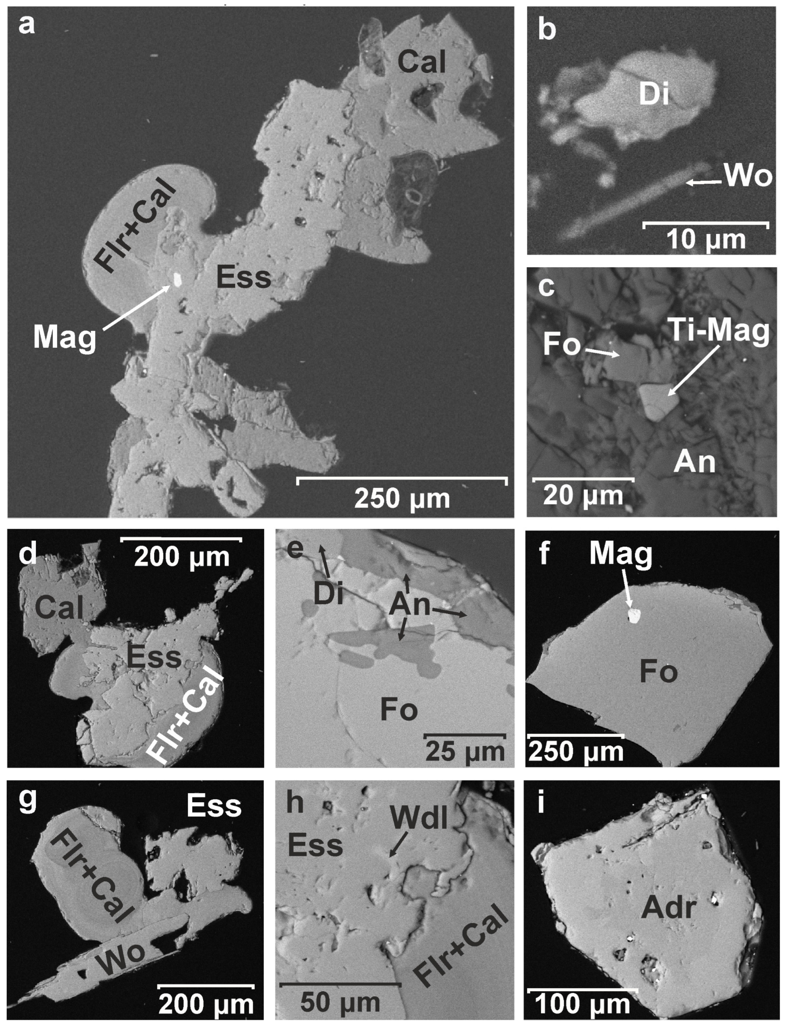 Minerals 15 00237 g010