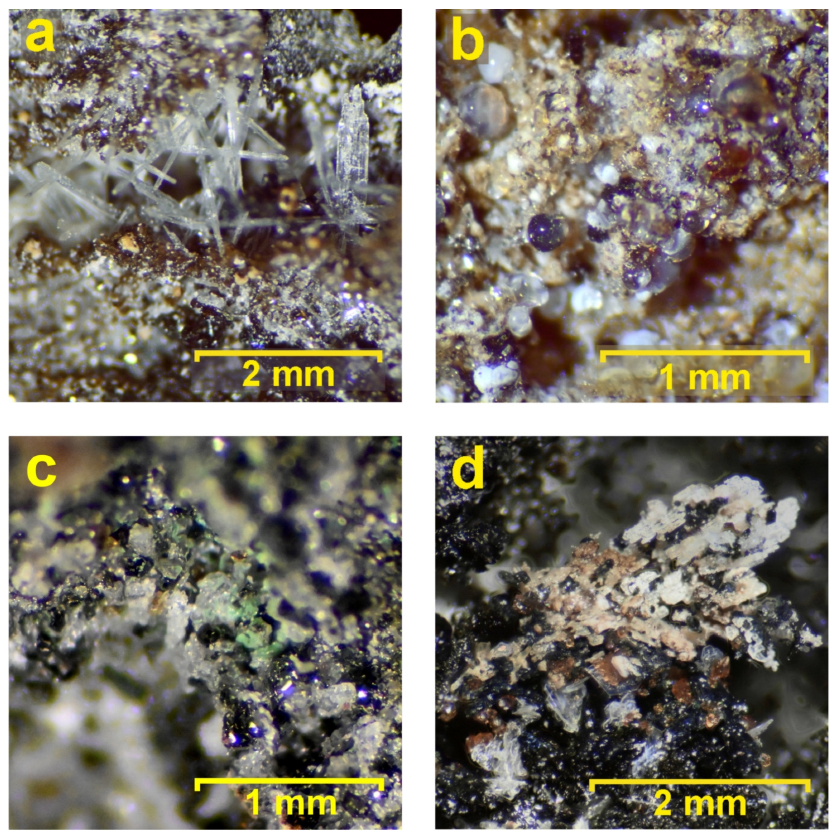 Minerals 15 00237 g011