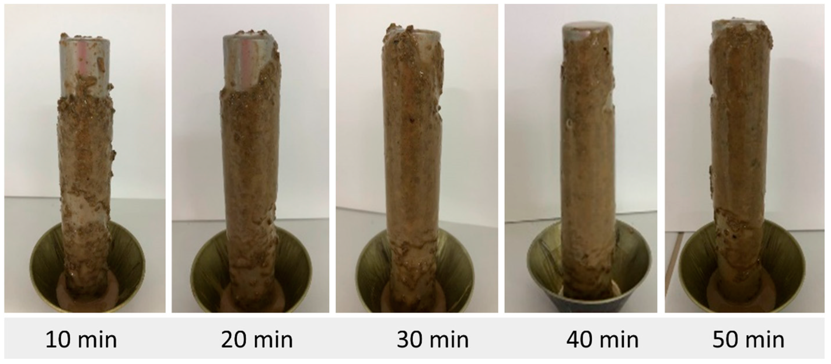 Minerals 15 00245 g006