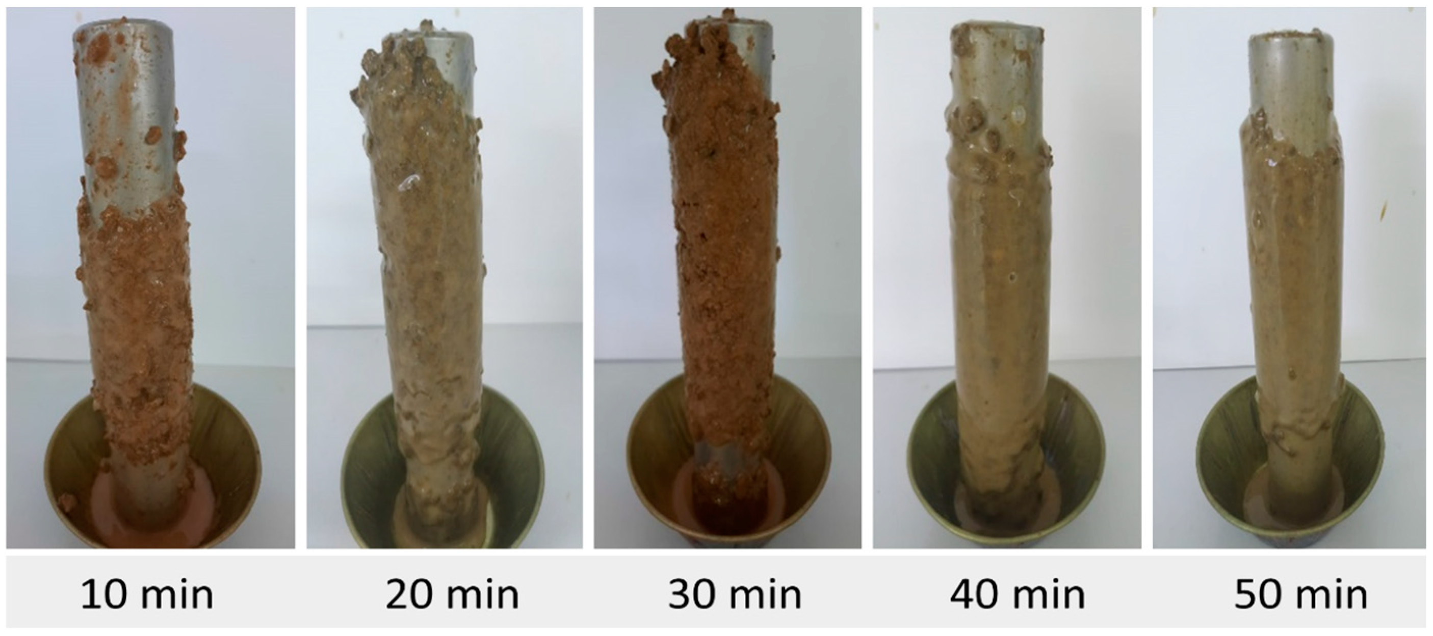 Minerals 15 00245 g007