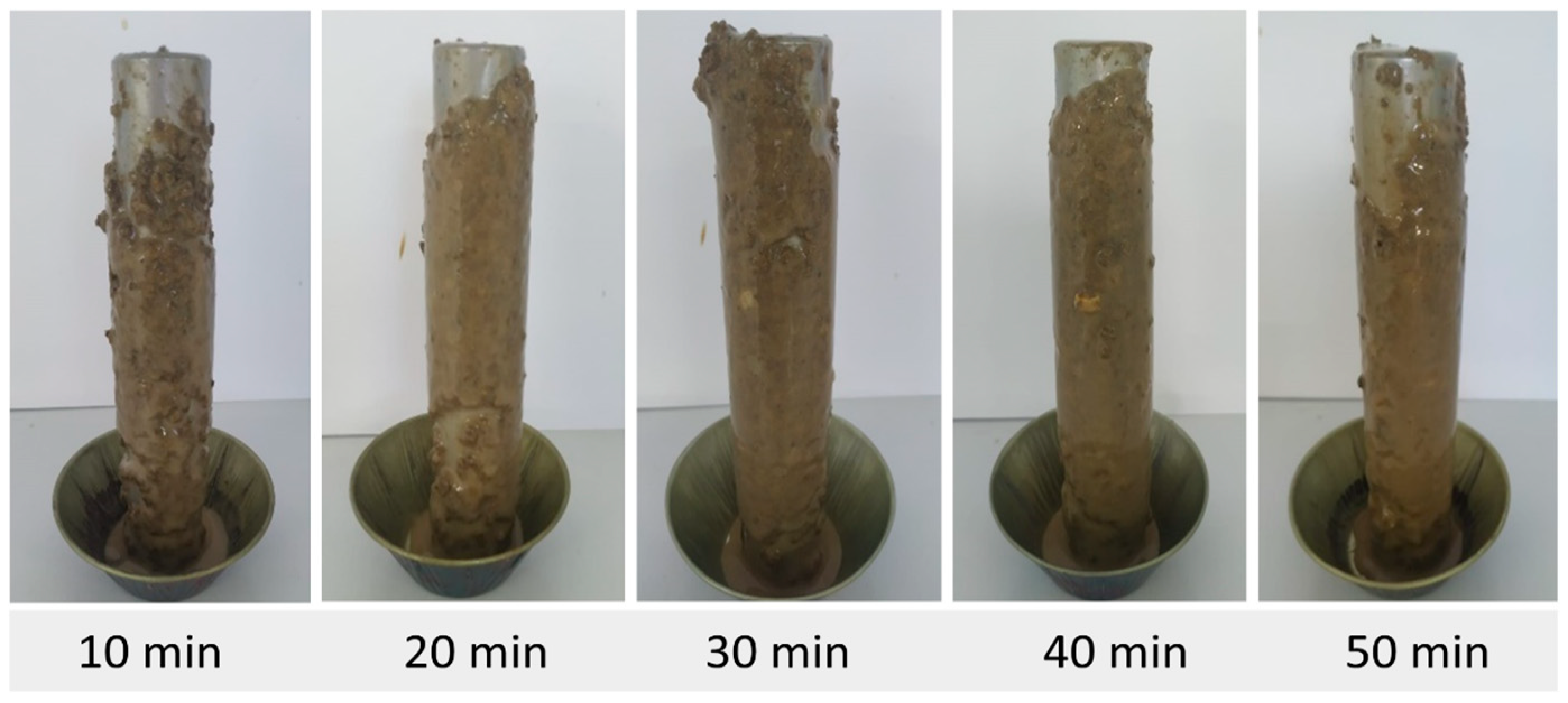 Minerals 15 00245 g008