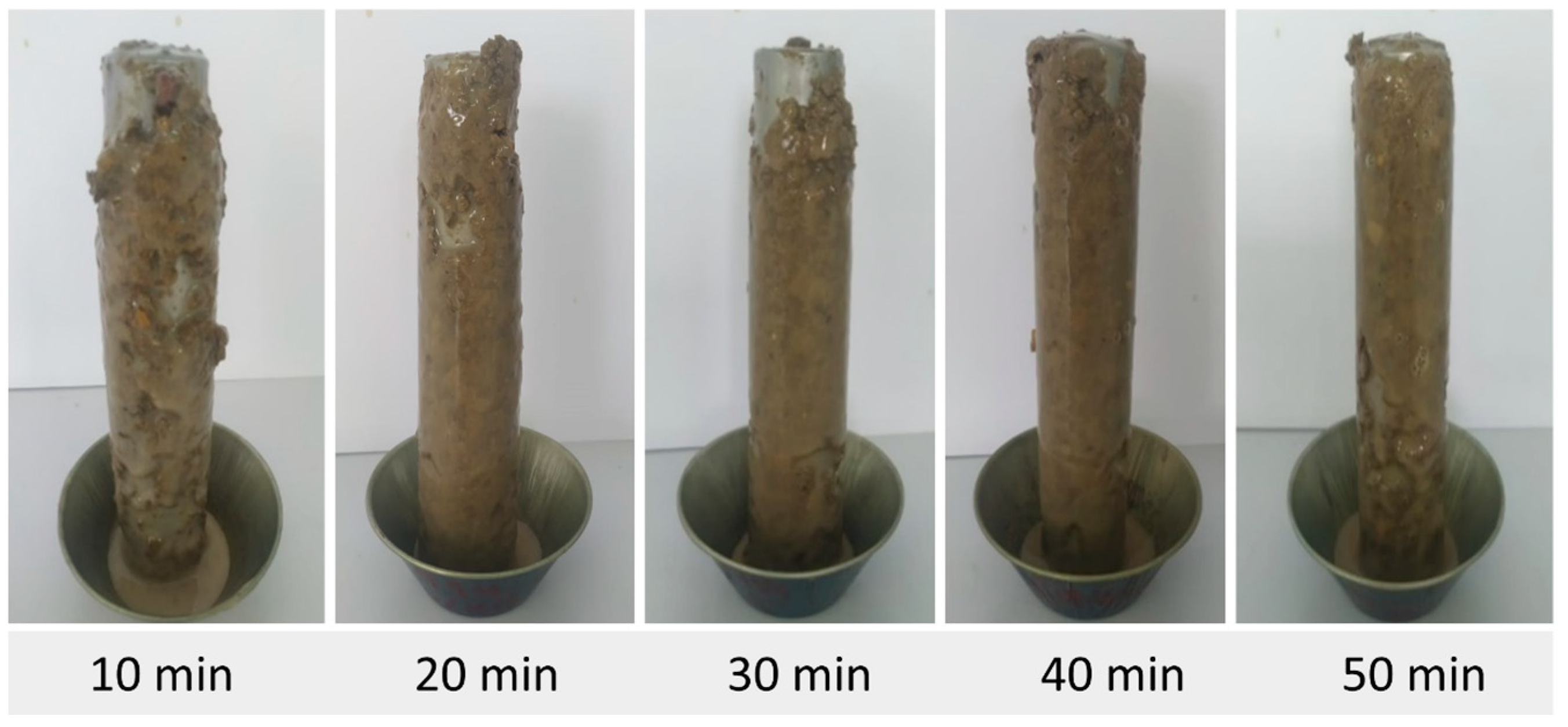 Minerals 15 00245 g009