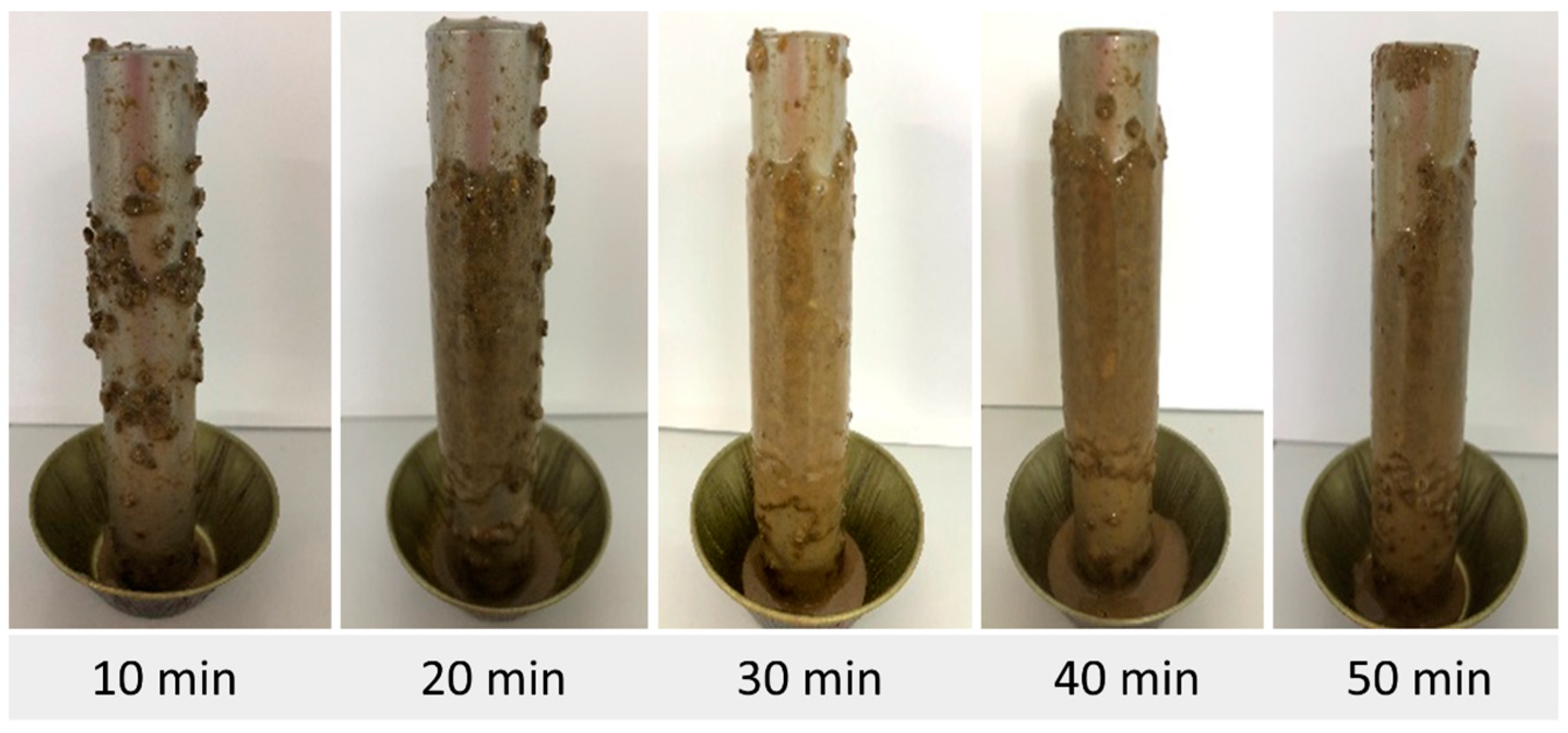 Minerals 15 00245 g010