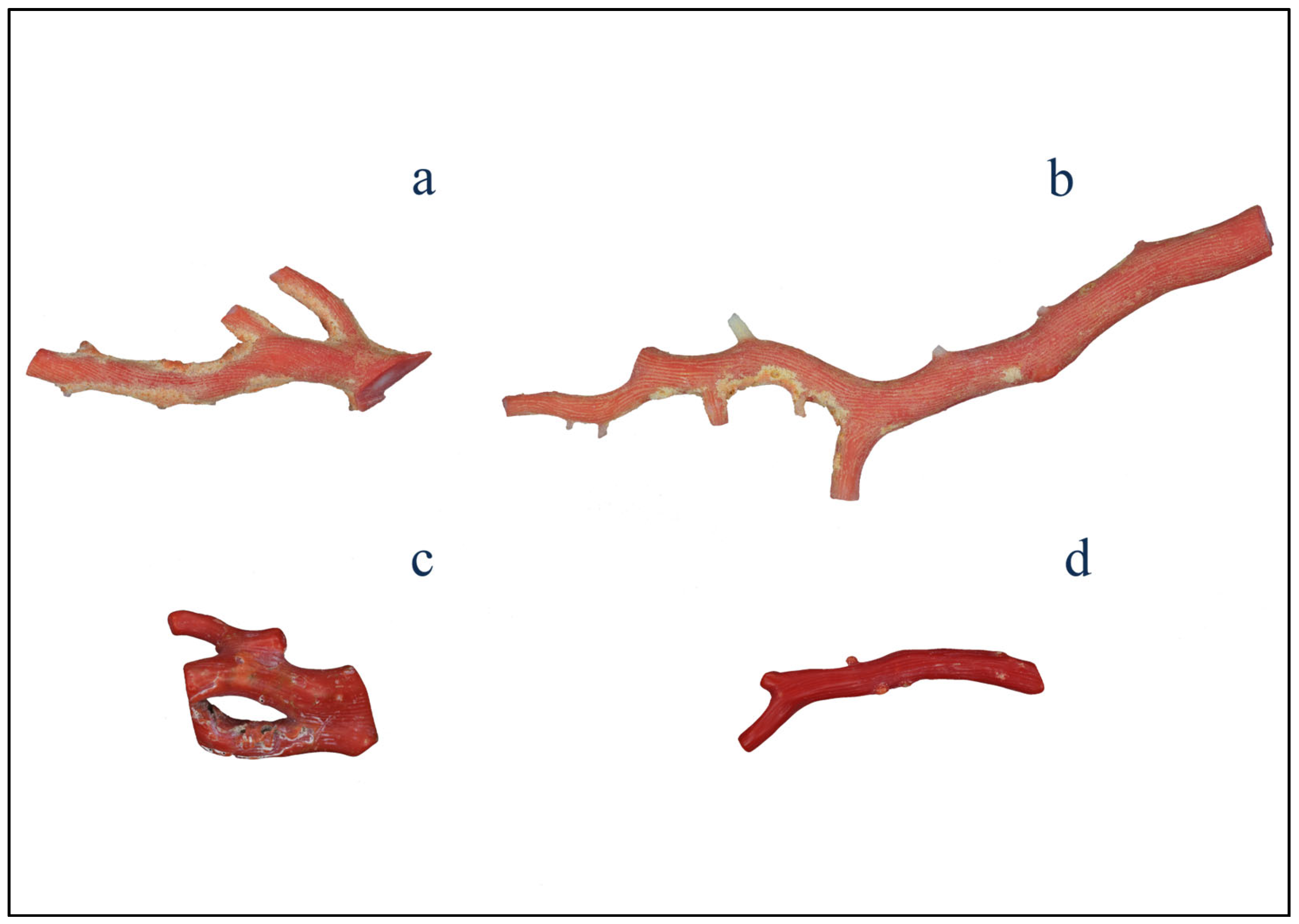Minerals 15 00248 g002