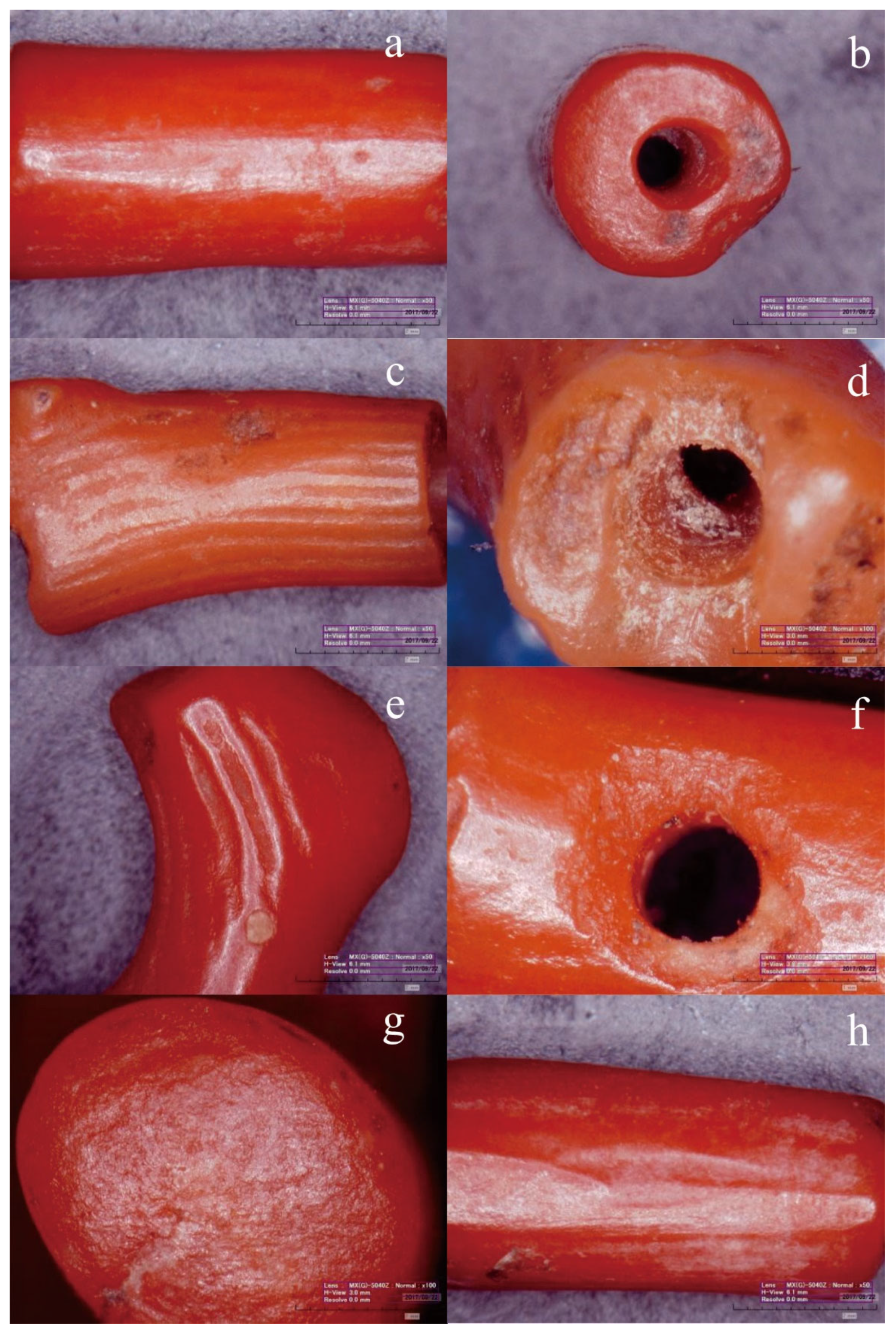 Minerals 15 00248 g003