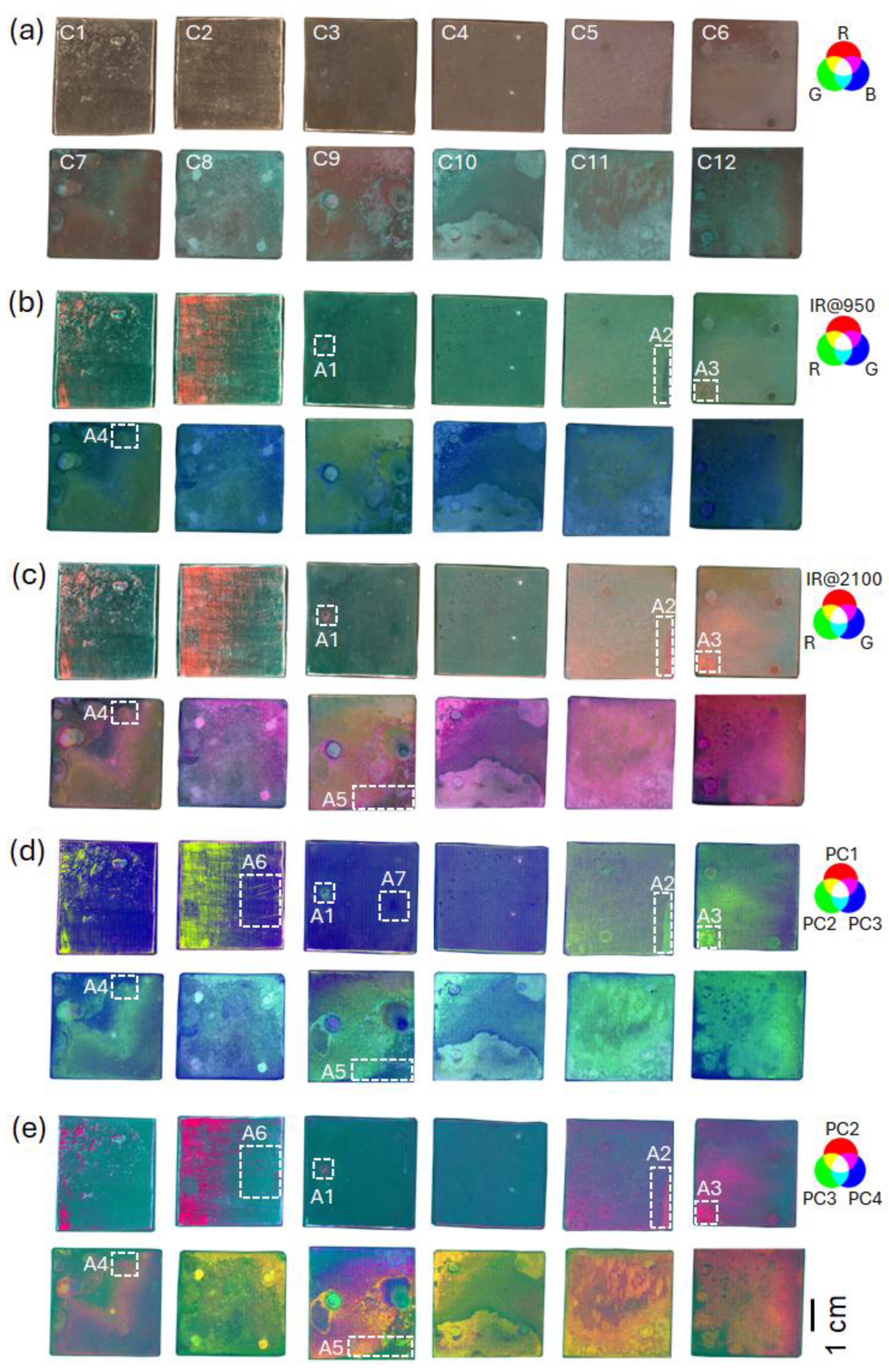 Minerals 15 00252 g001