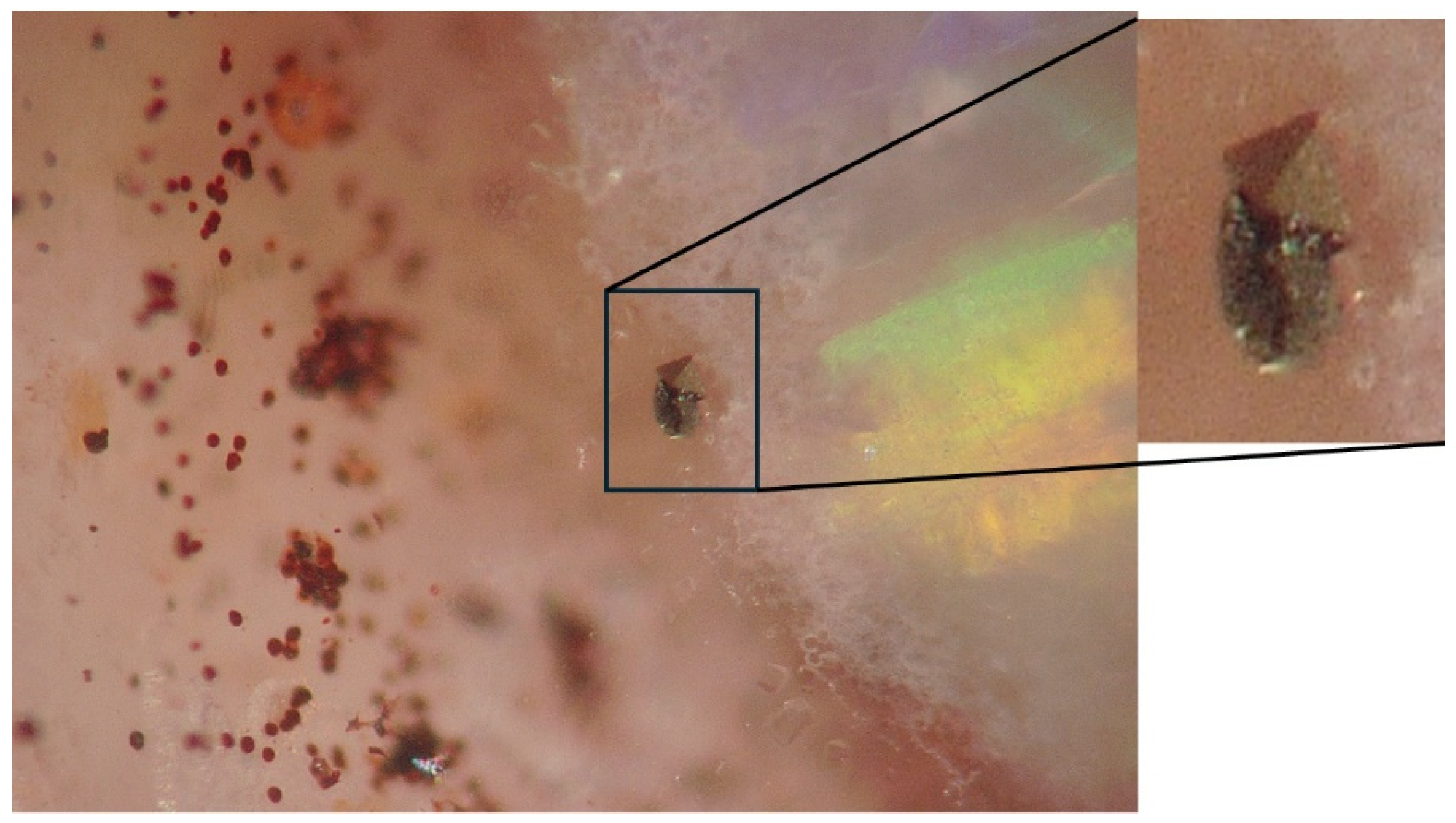 Minerals 15 00258 g006