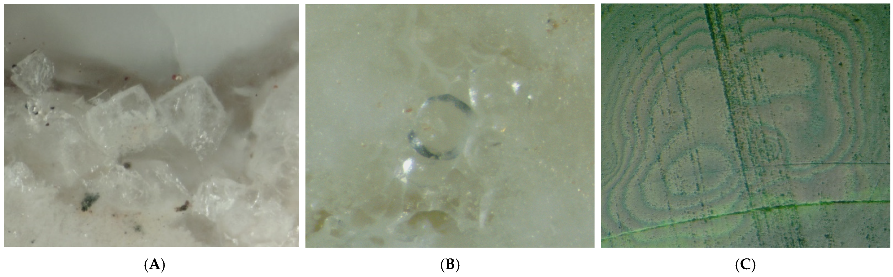 Minerals 15 00258 g007