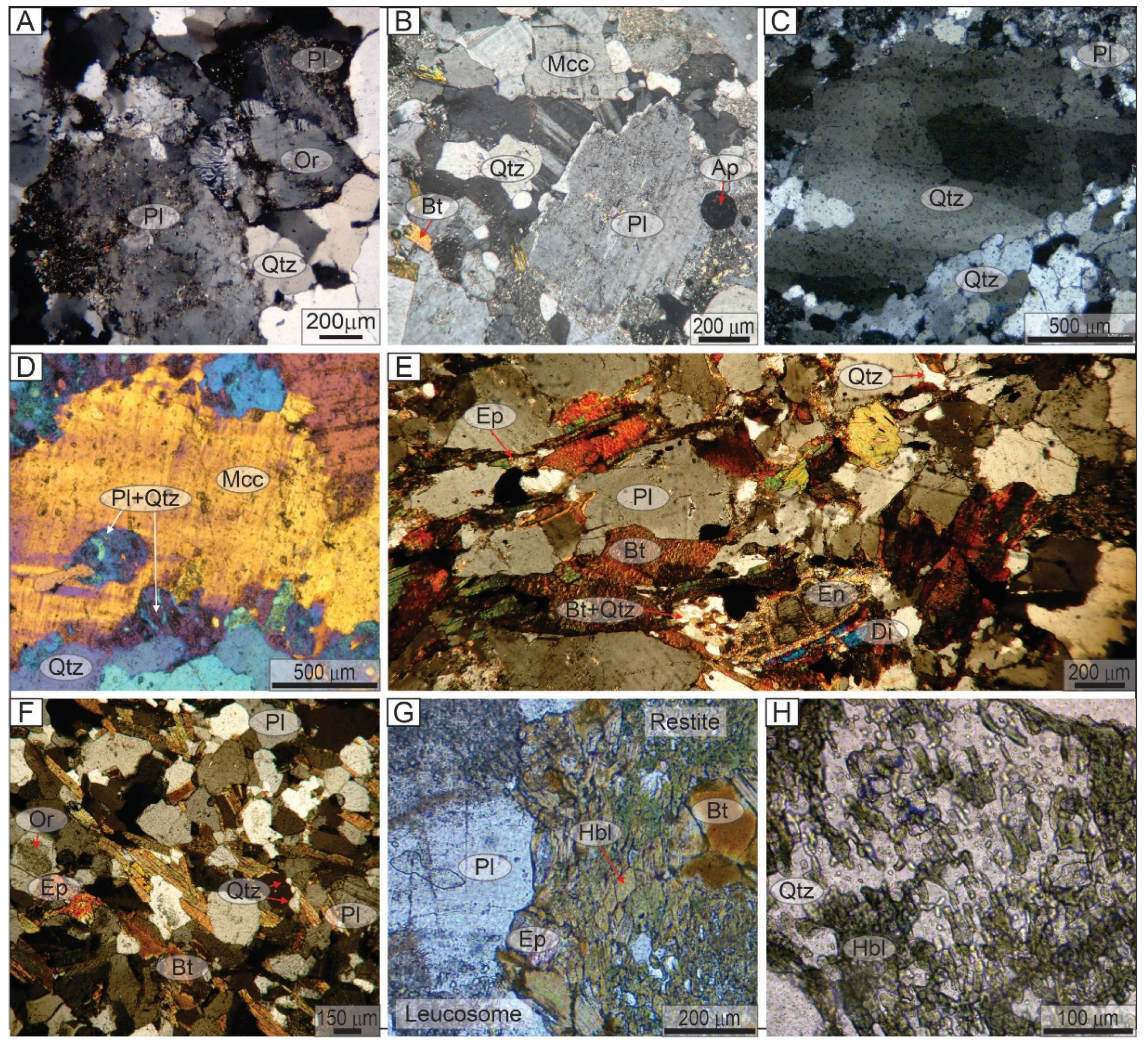 Minerals 15 00265 g006