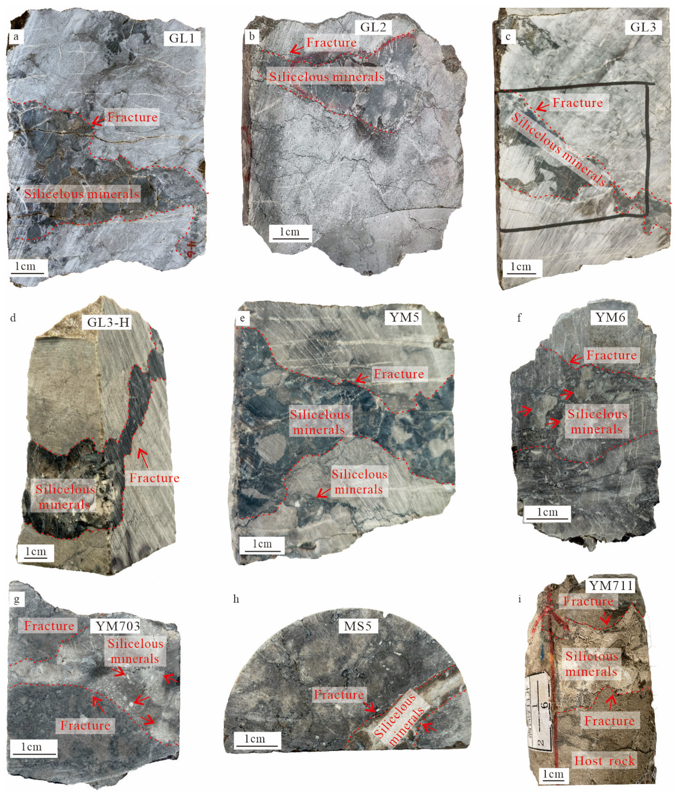 Minerals 15 00270 g002