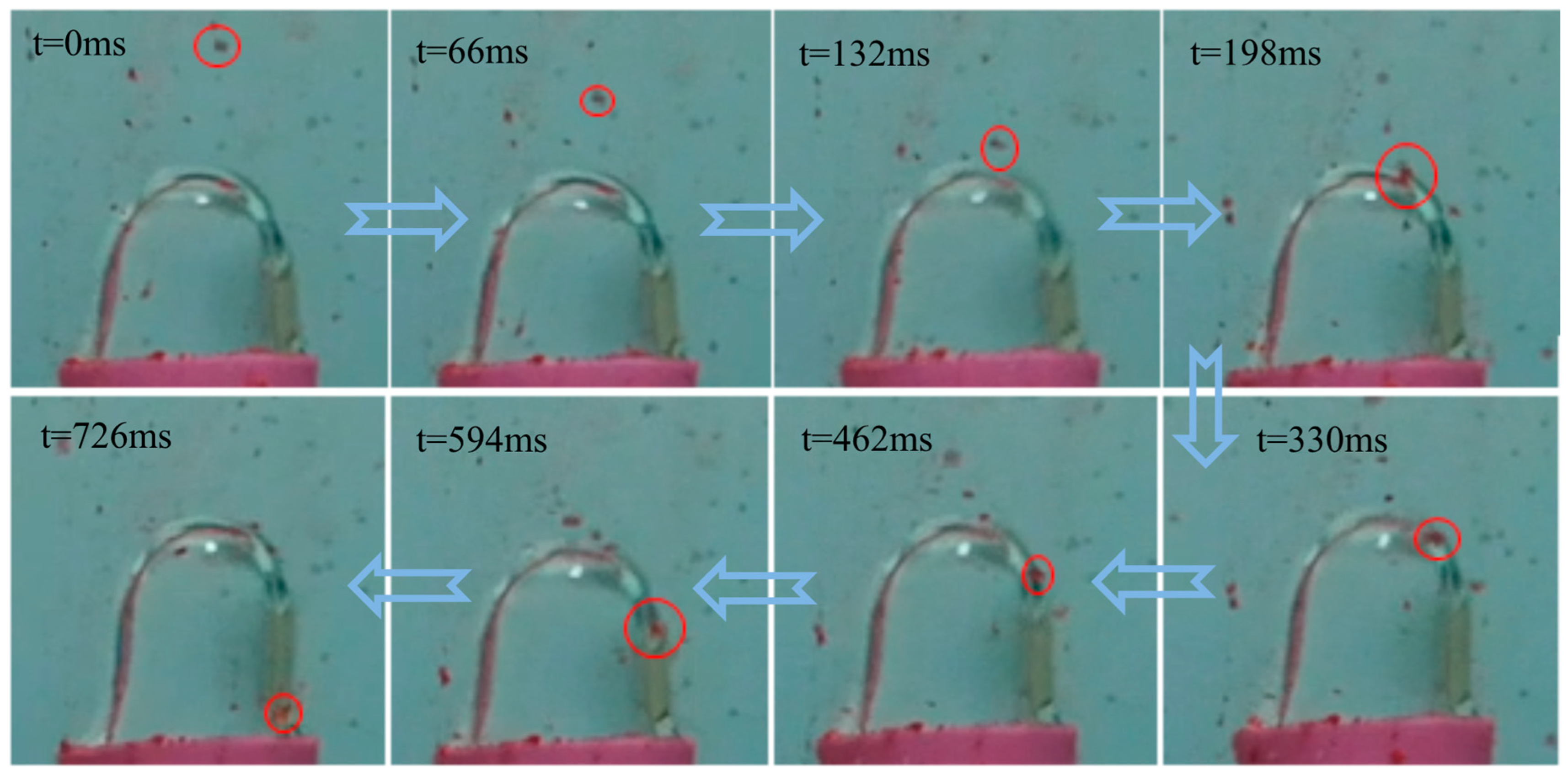 Minerals 15 00306 g009