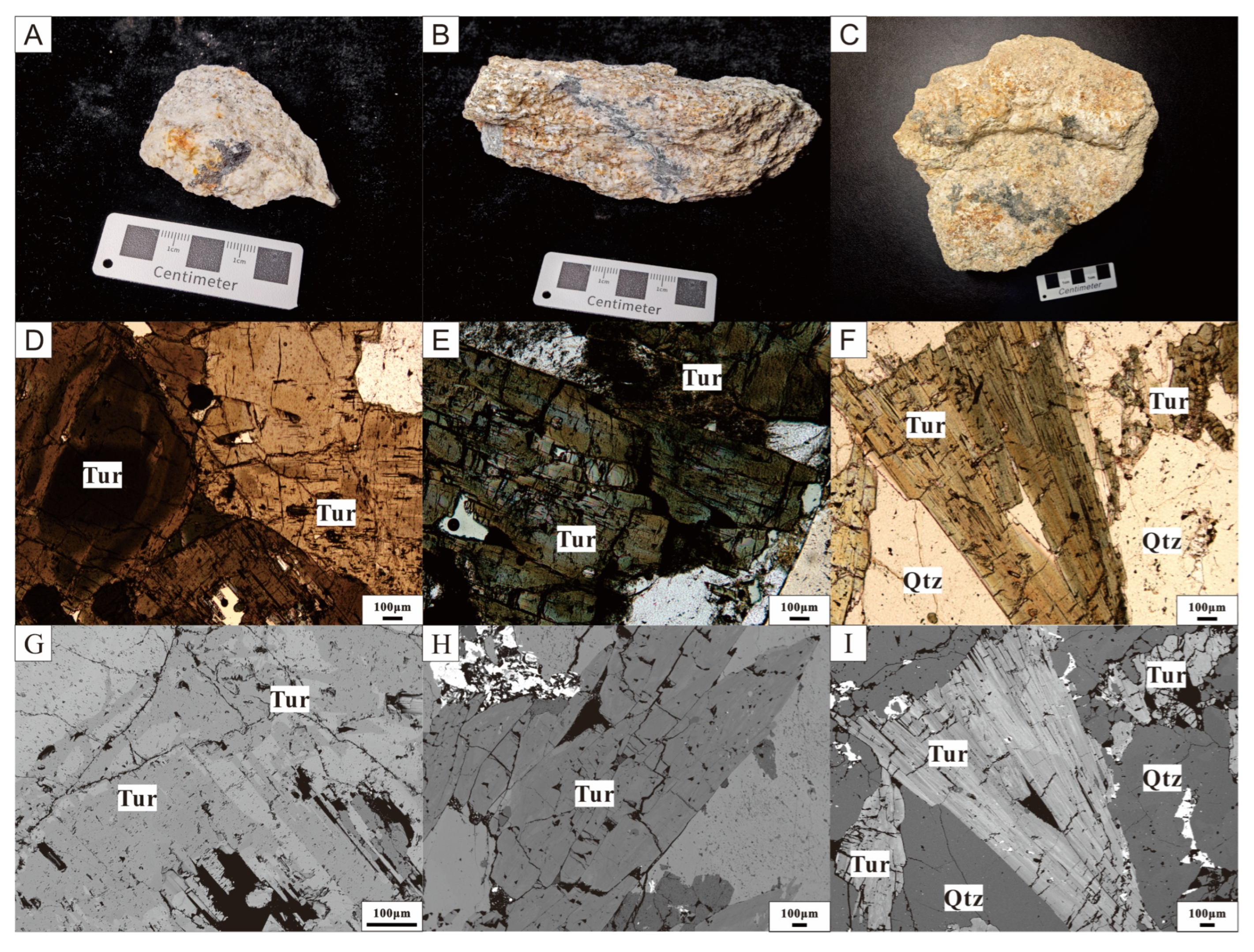 Minerals 15 00316 g002