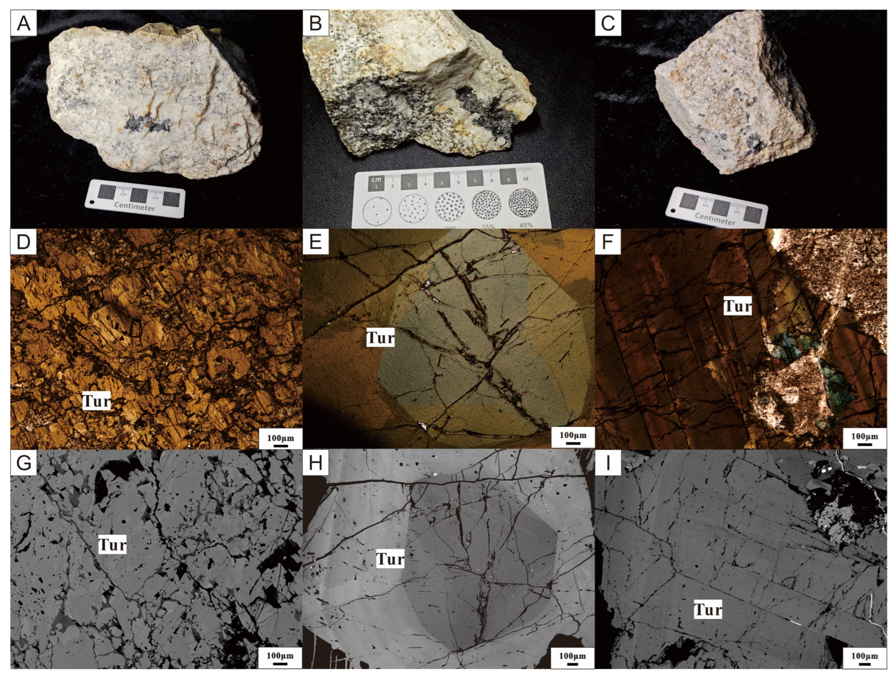Minerals 15 00316 g003
