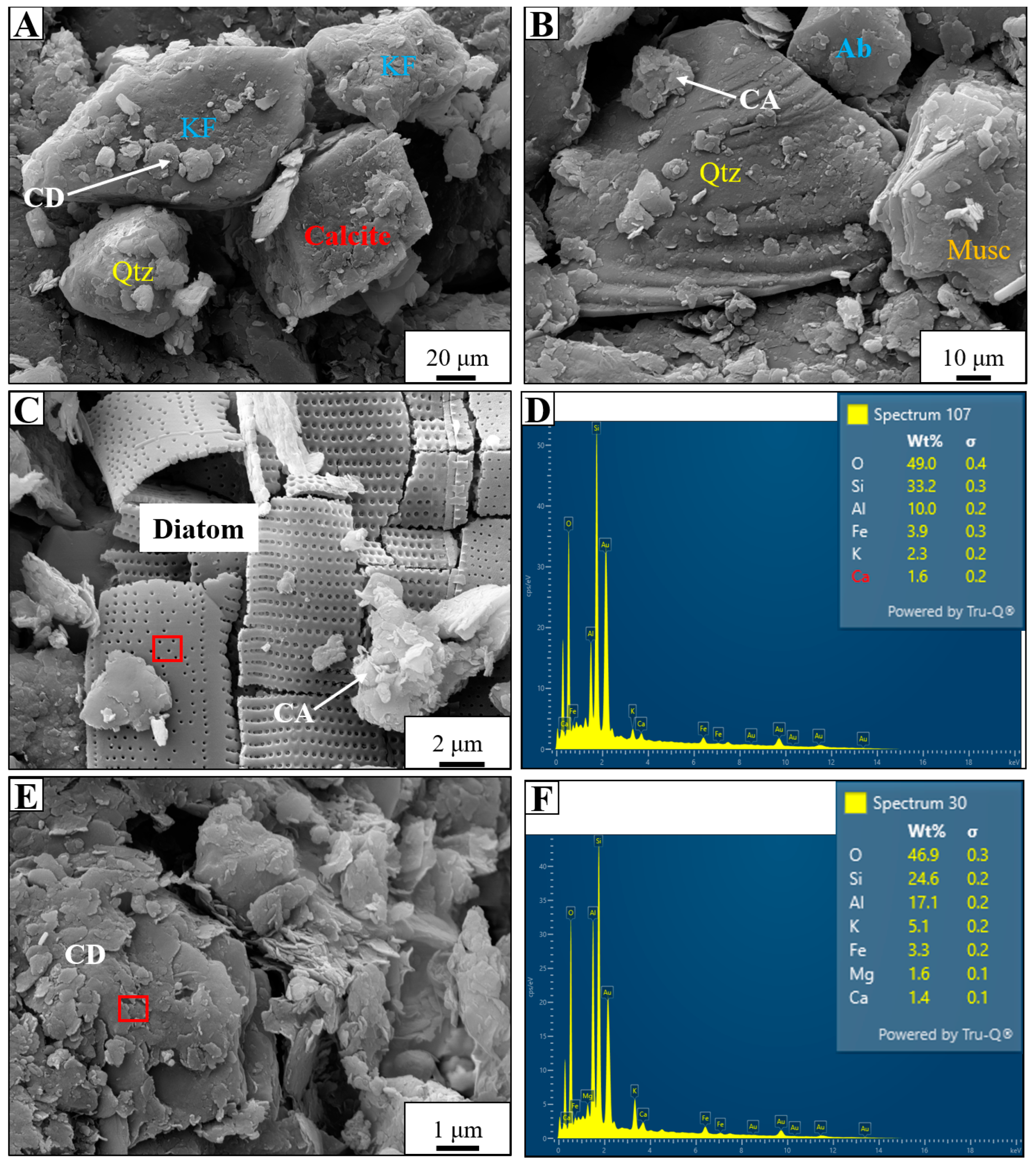 Minerals 15 00317 g005