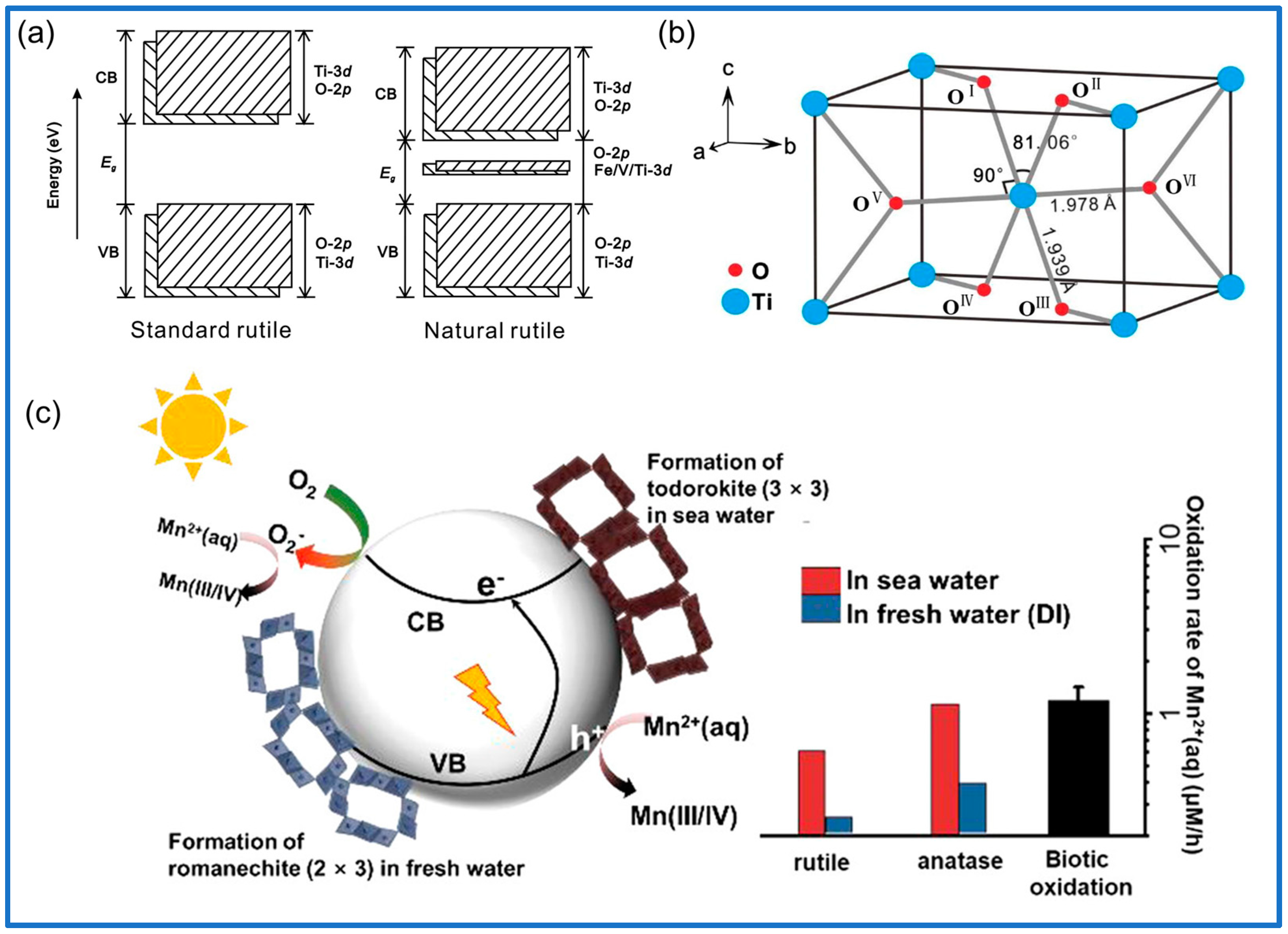 Minerals 15 00318 g003